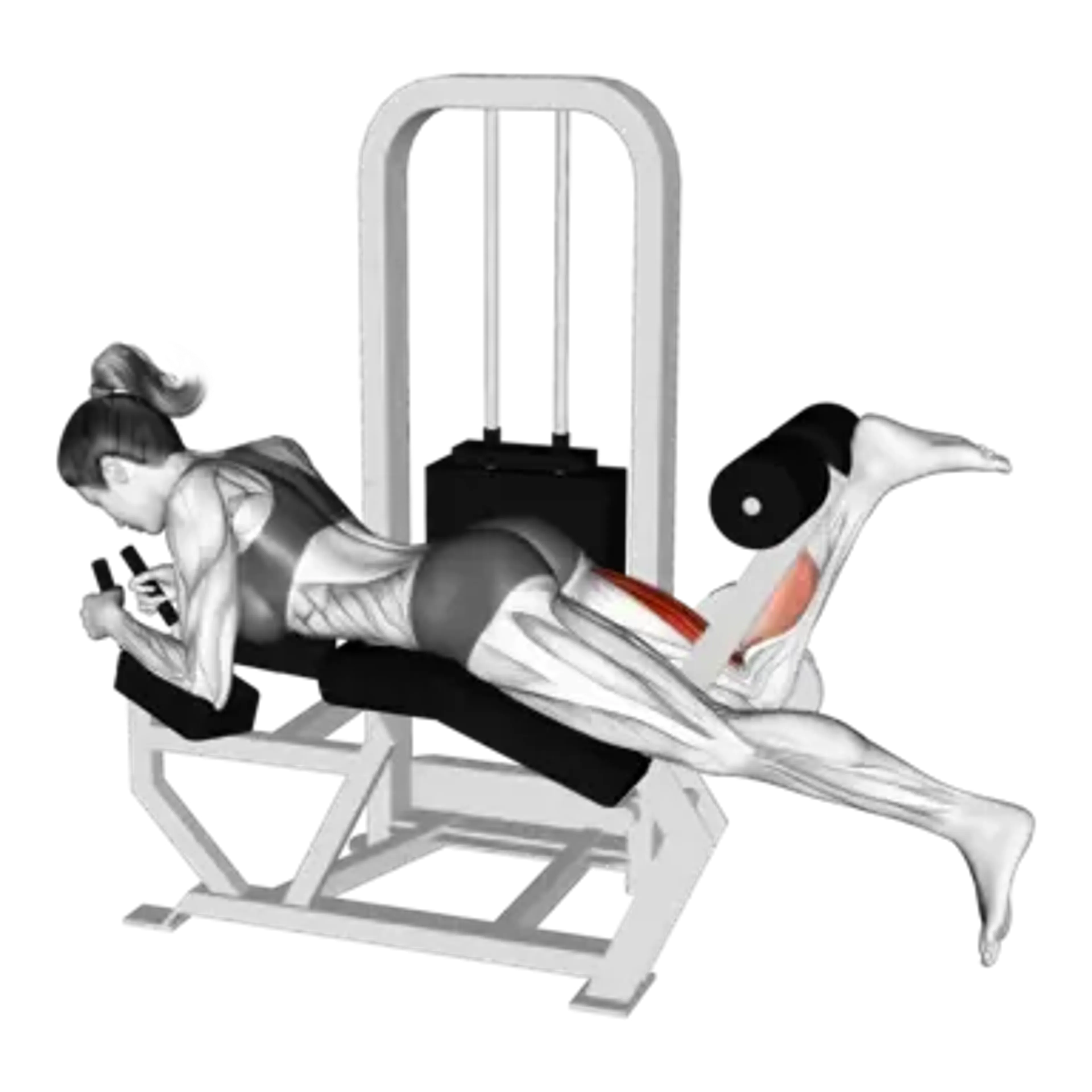 Machine Single-Leg Lying Leg Curl