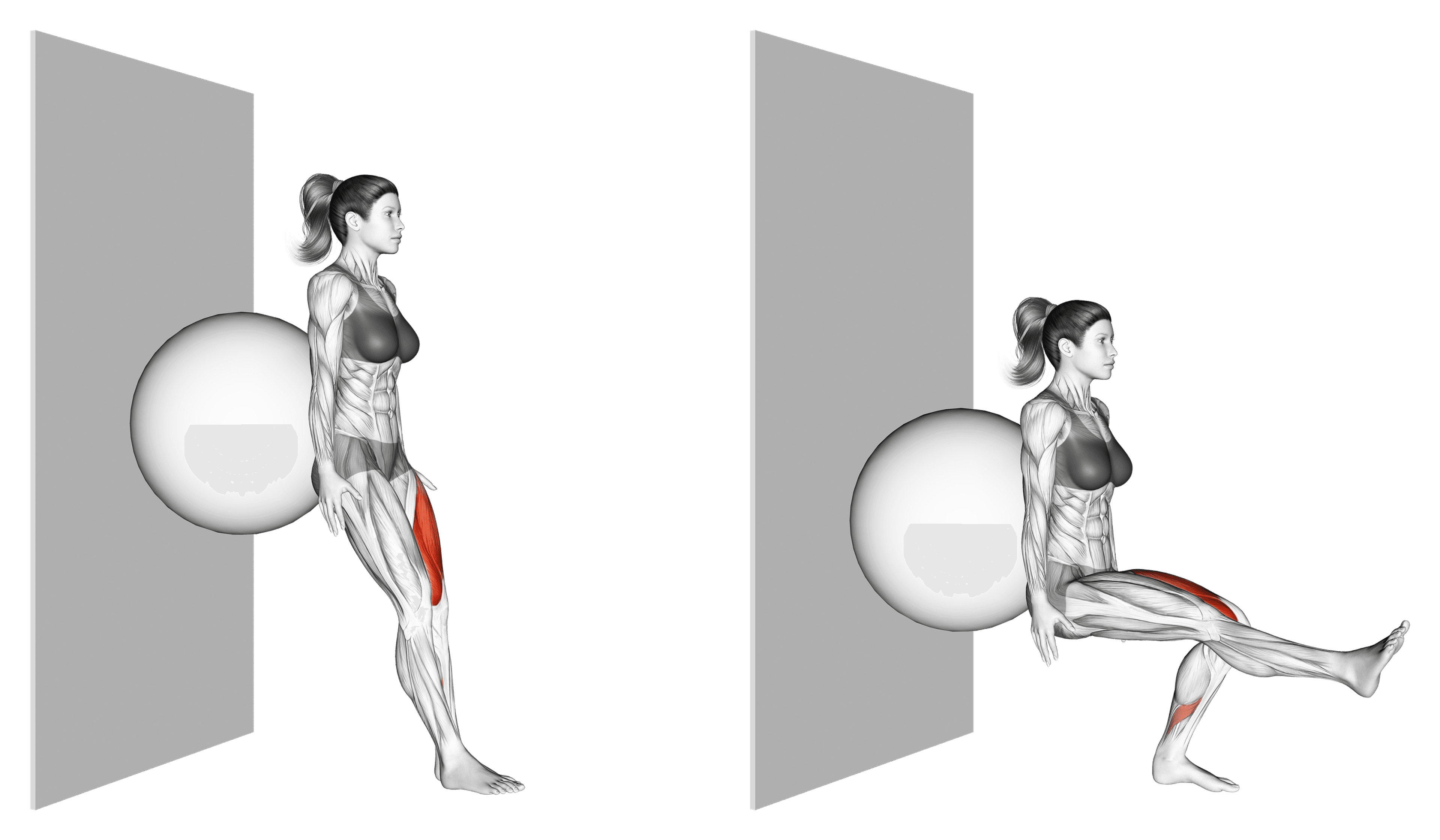 Exercise Ball Single-Leg Squat