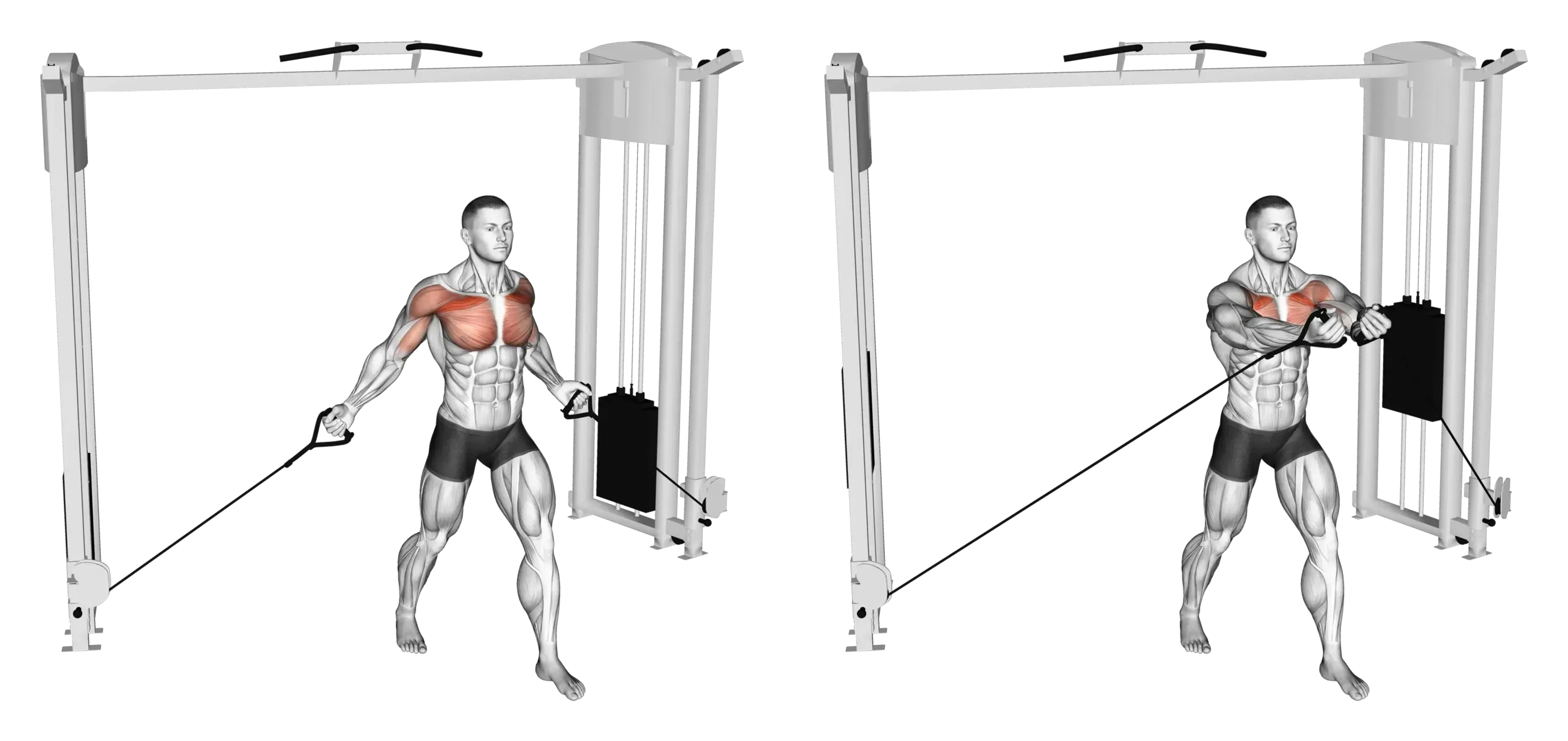 Low Cable Chest Fly