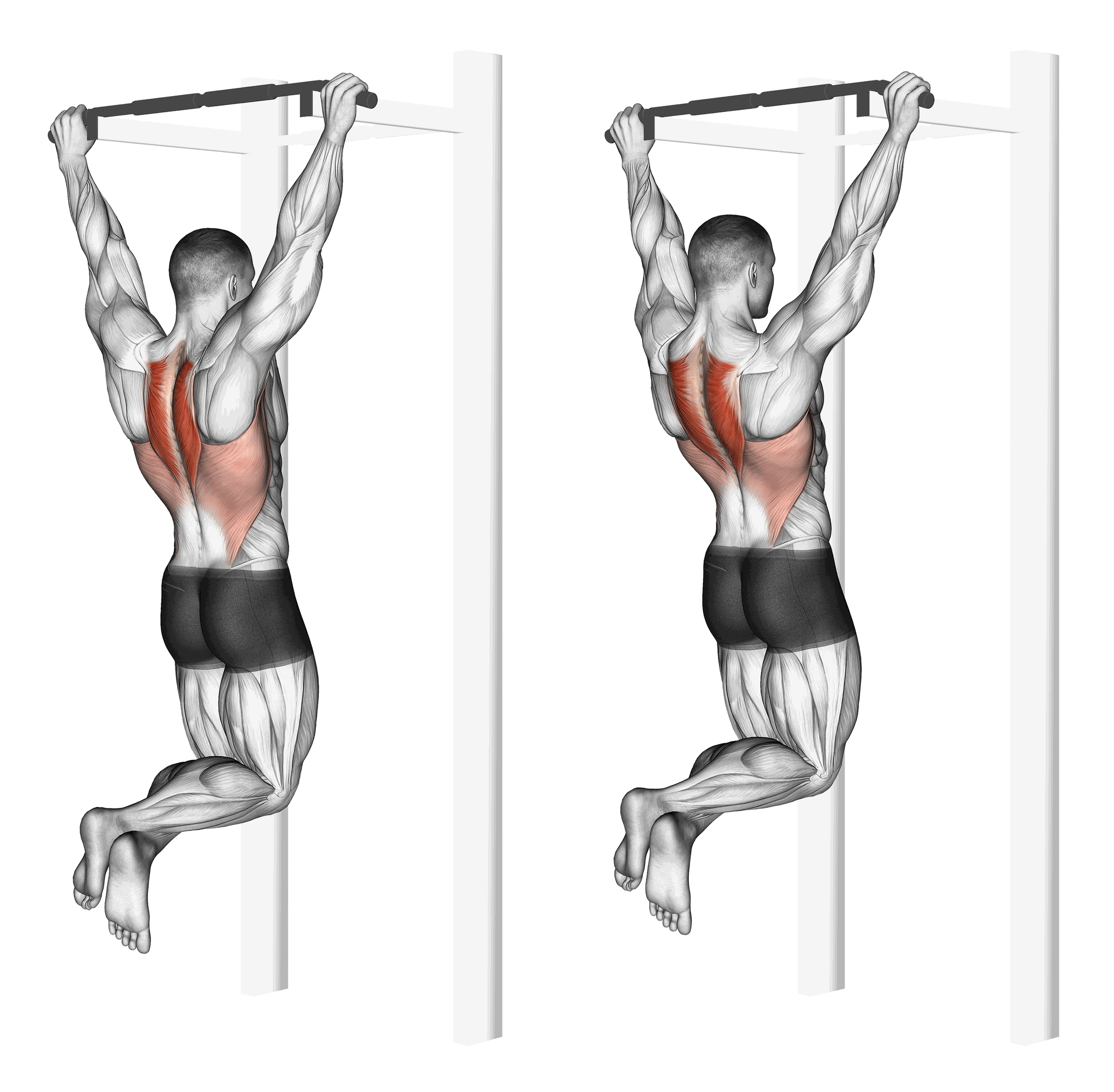 Bar For Exercise Pull-Up Bar Exercises | Athlemove