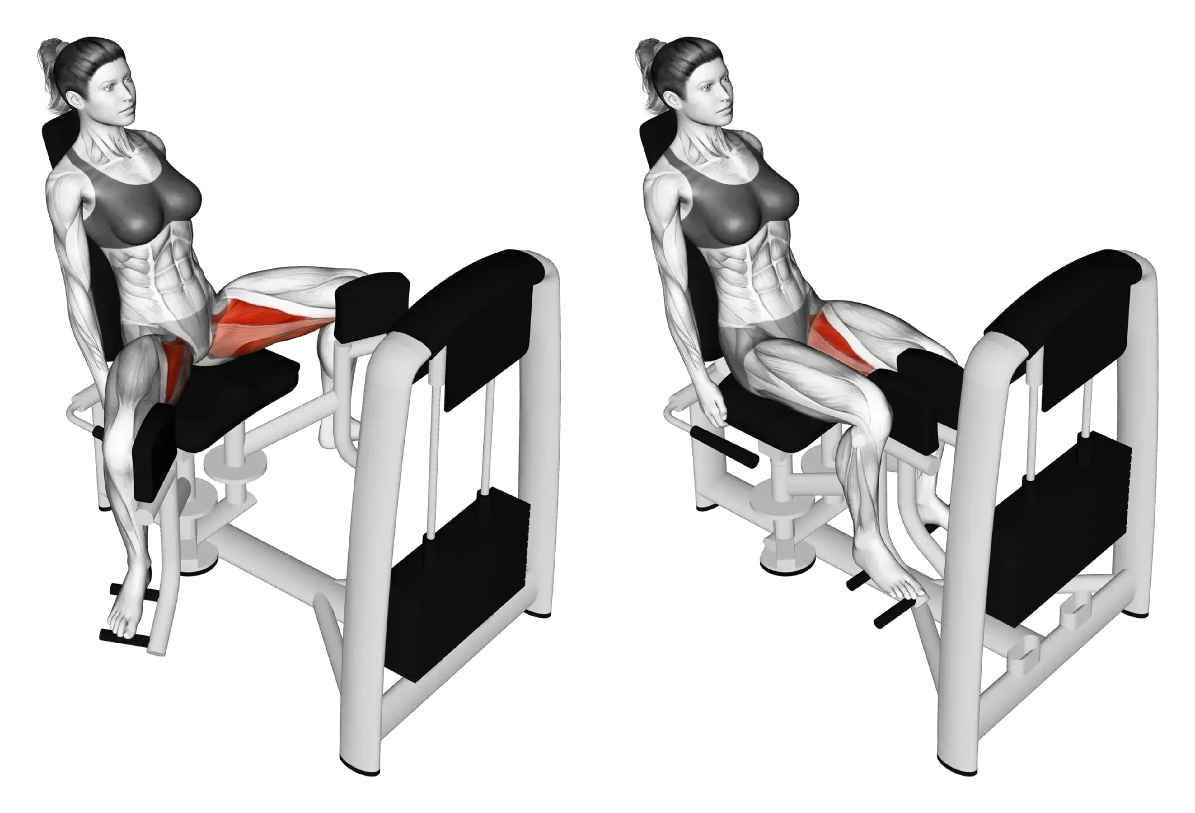 Machine Hip Adduction