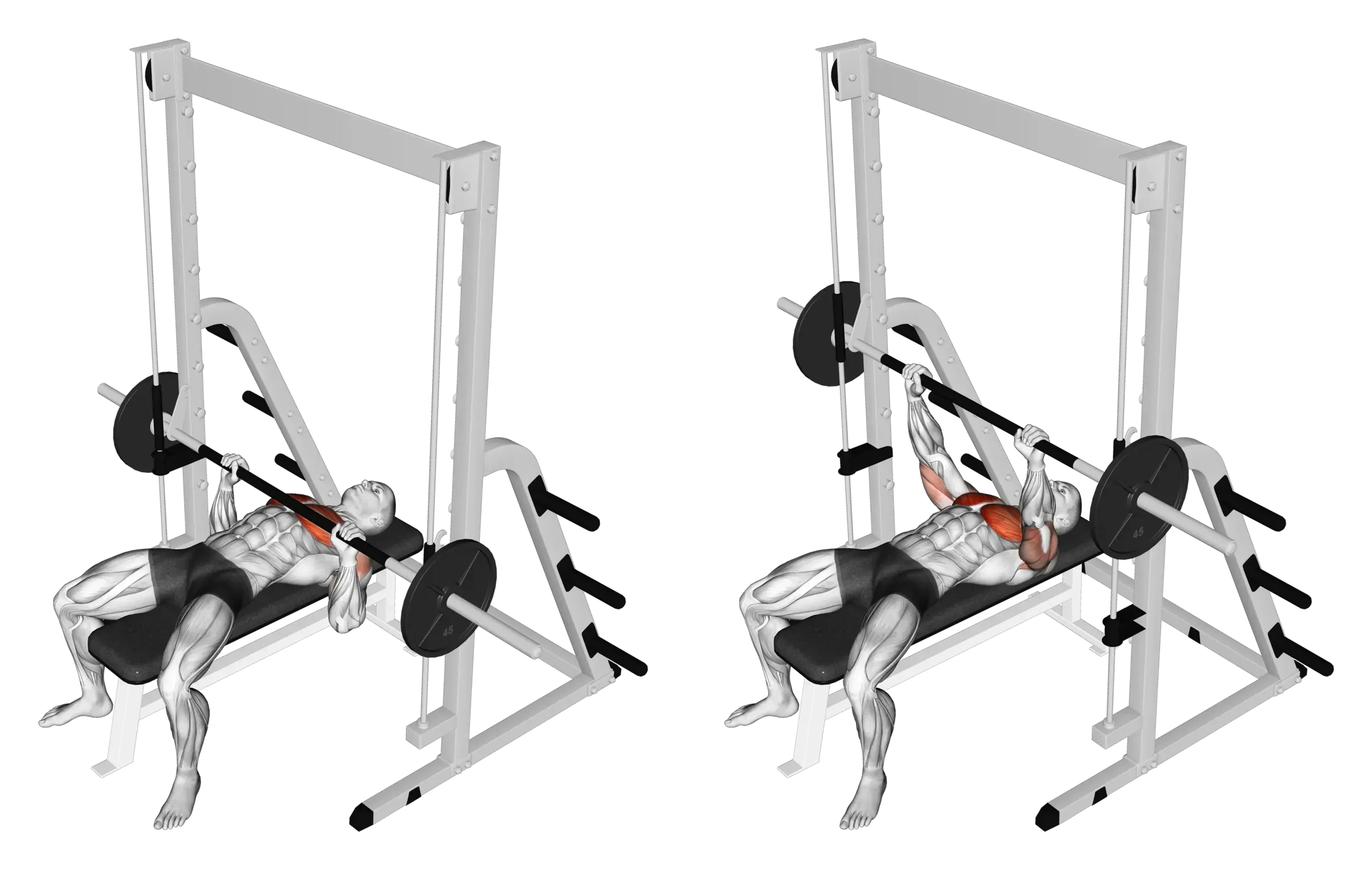 Smith Machine Bench Press