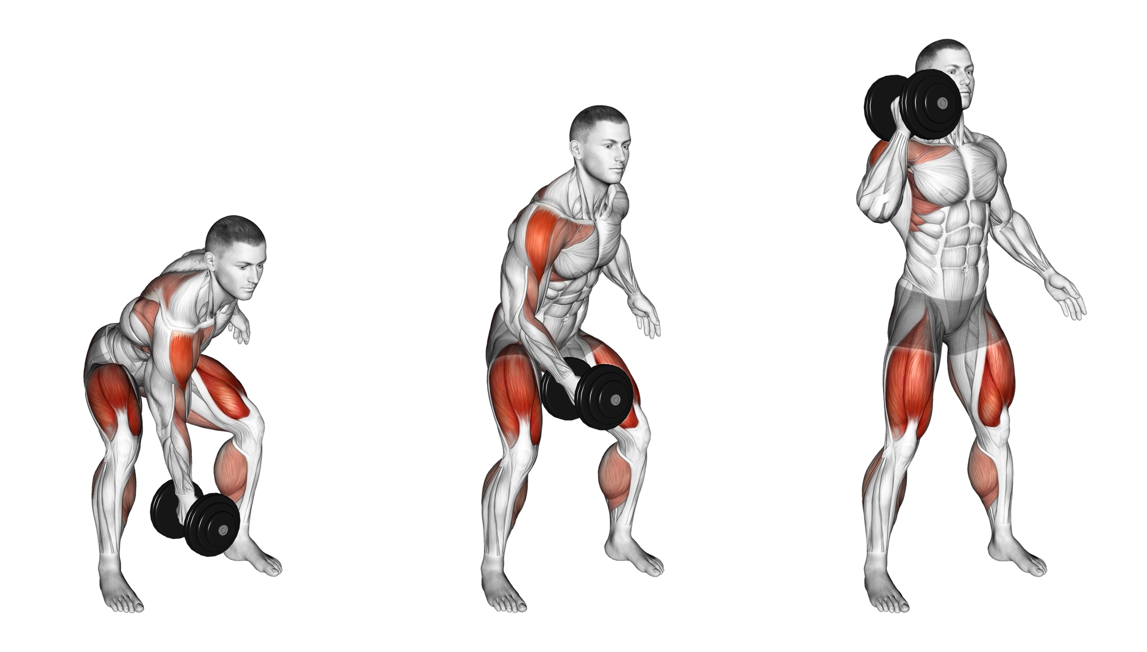 Dumbbell Single-Arm Power Clean: Guide, Muscles Worked, Tips | Athlemove