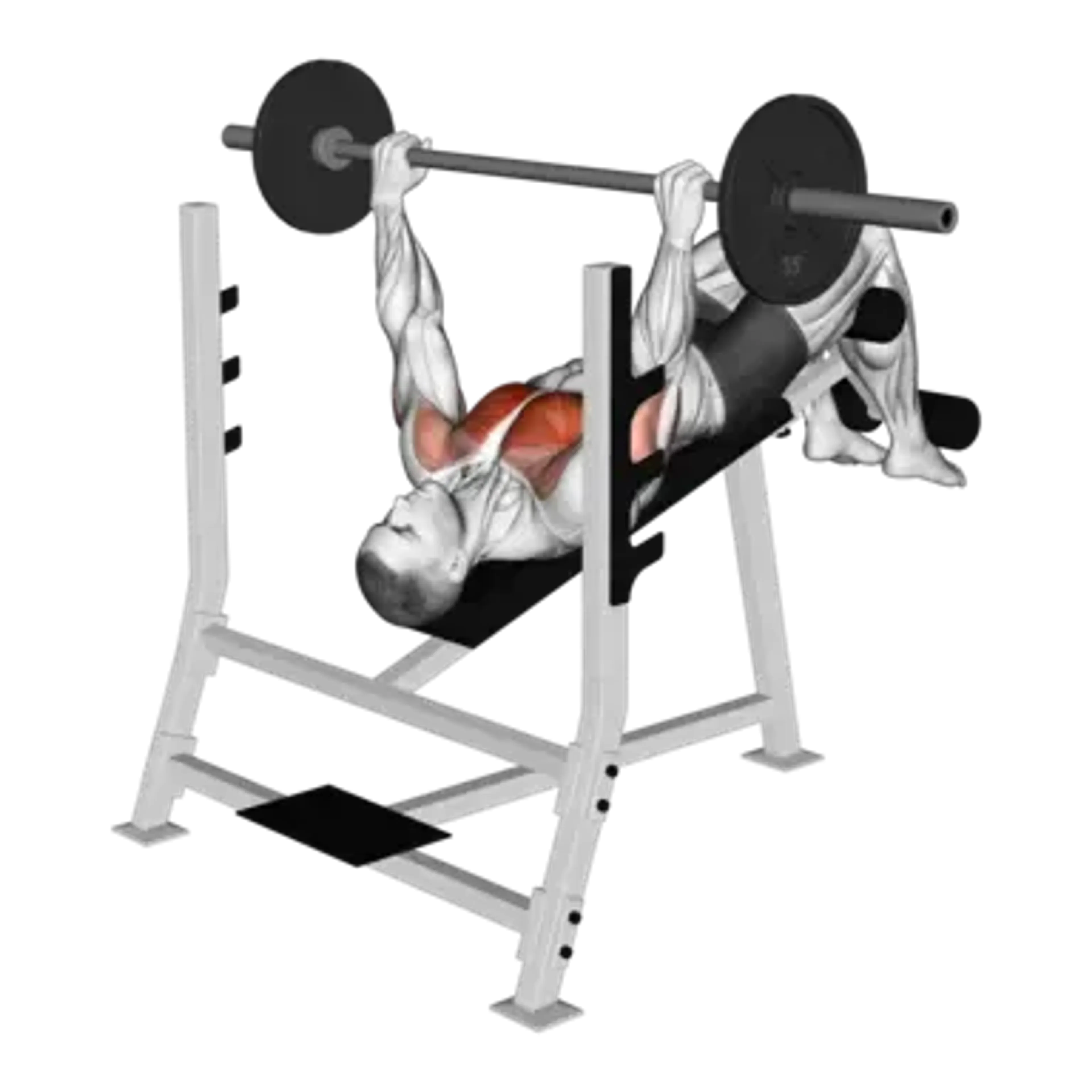 Barbell Decline Bench Press