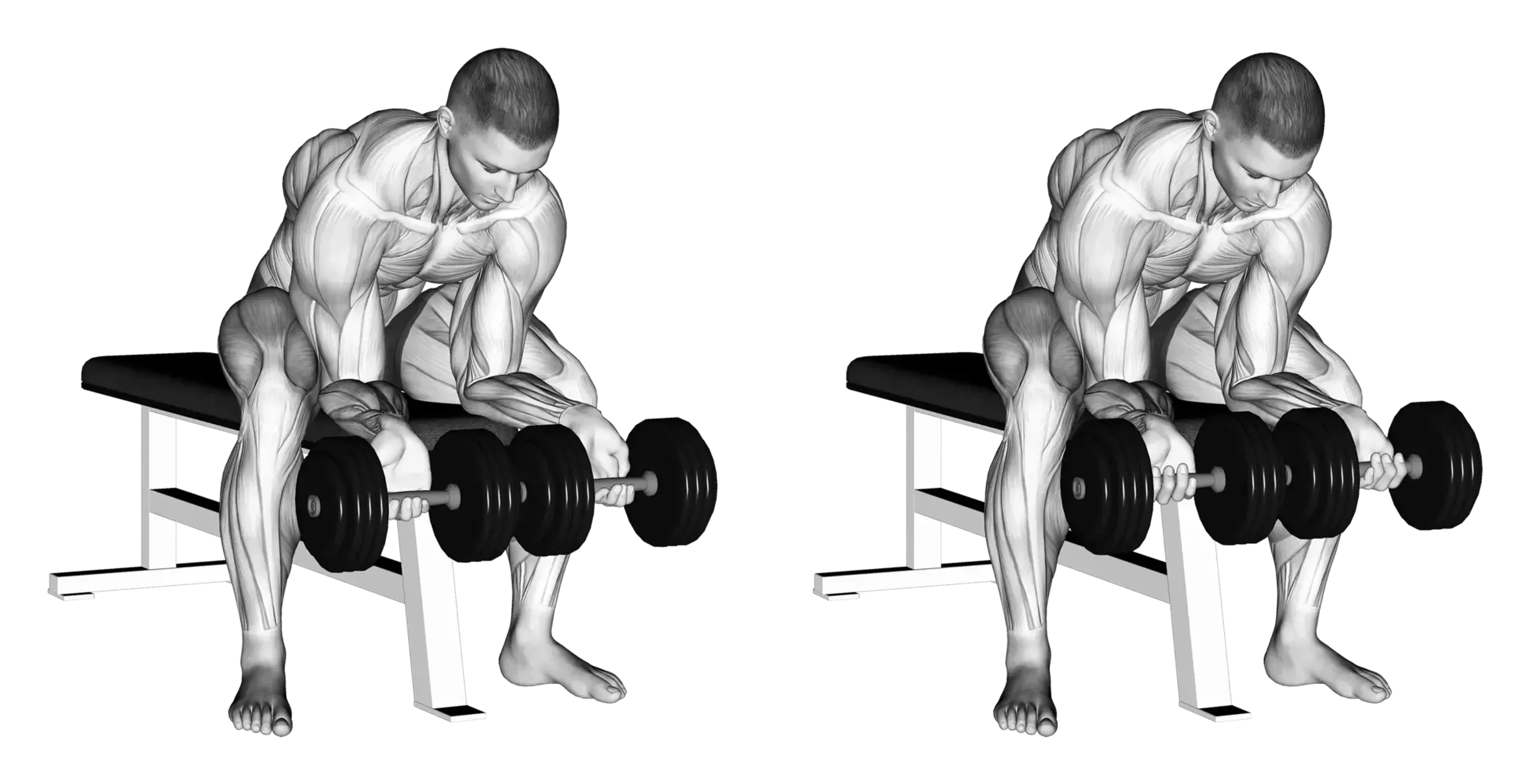 Dumbbell Finger Curls