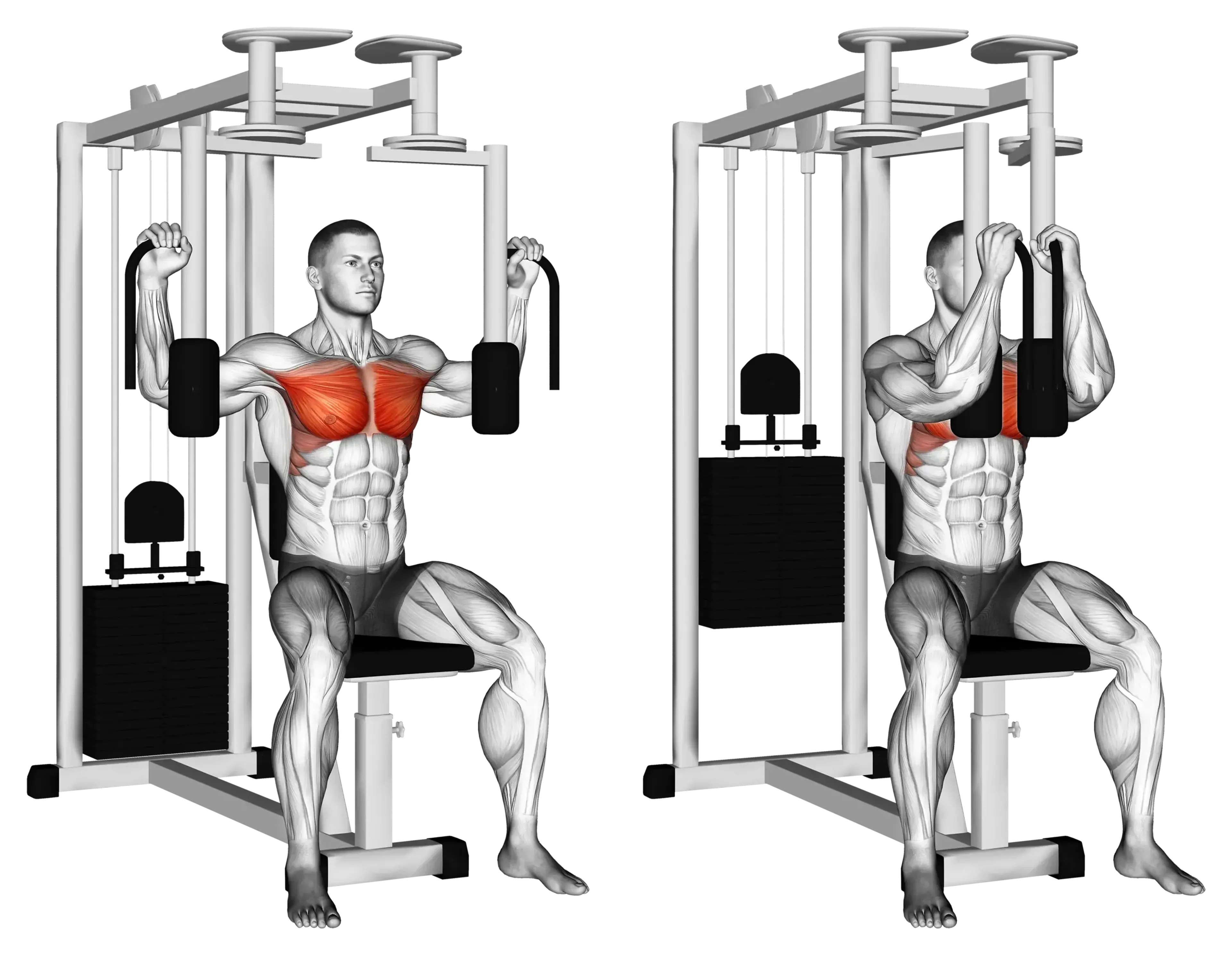 Machine Pec Deck Fly
