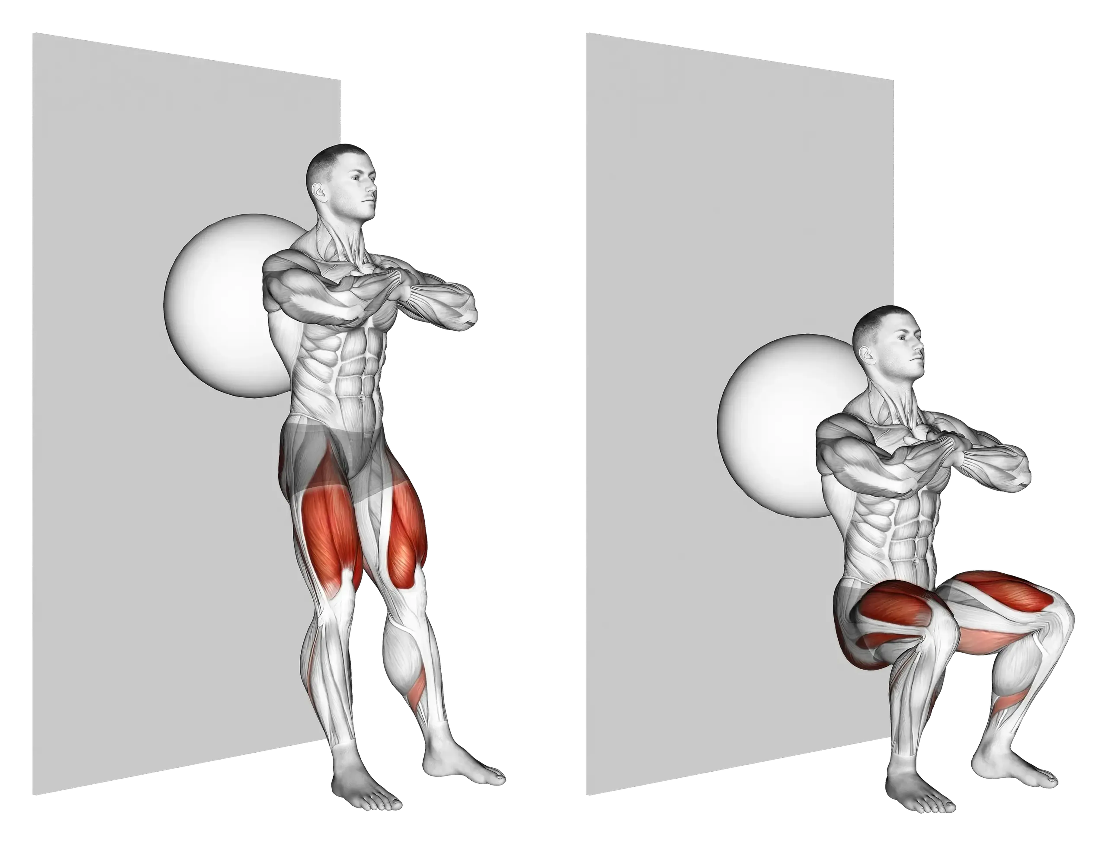 Exercise Ball Wall Squat
