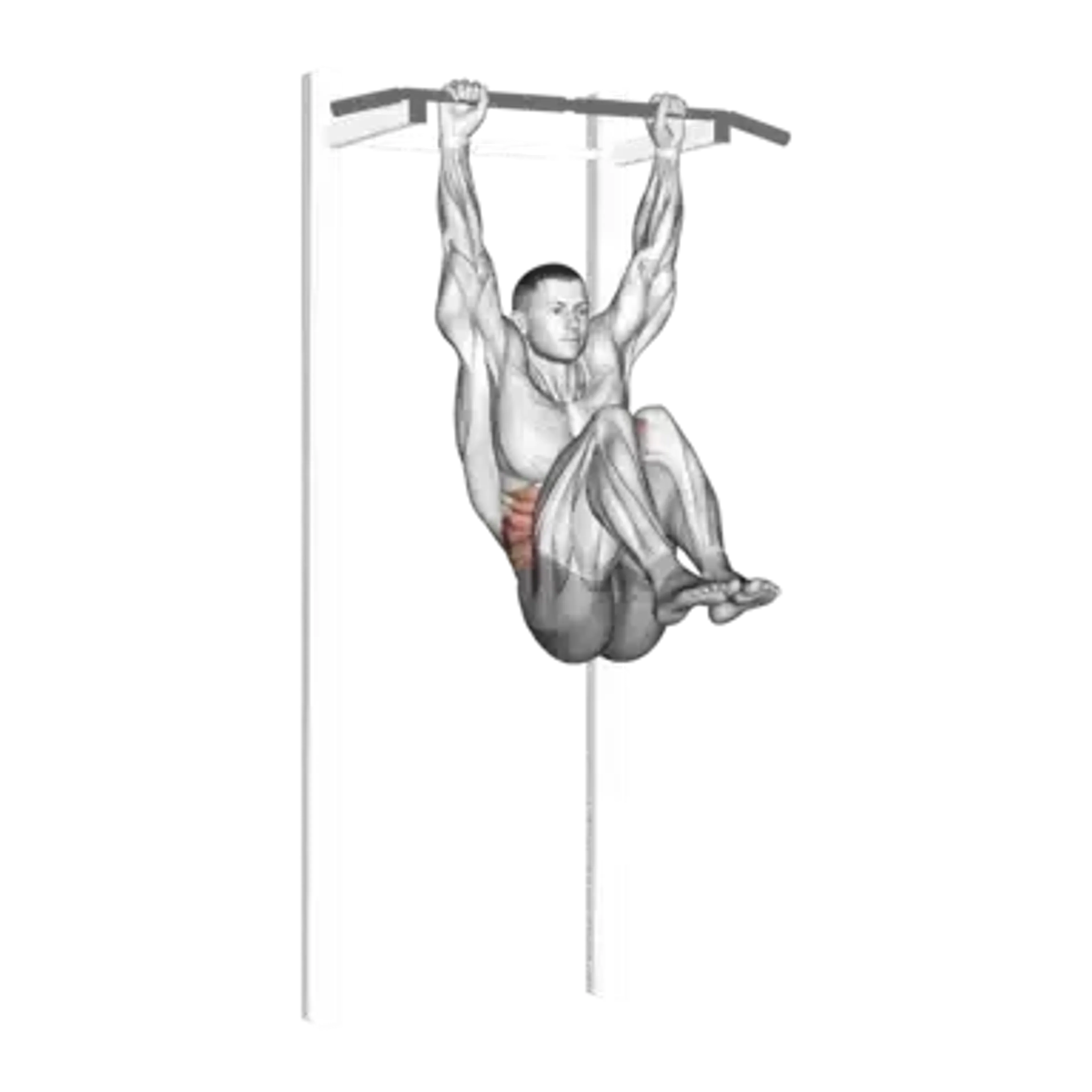 Hanging Knee Raise