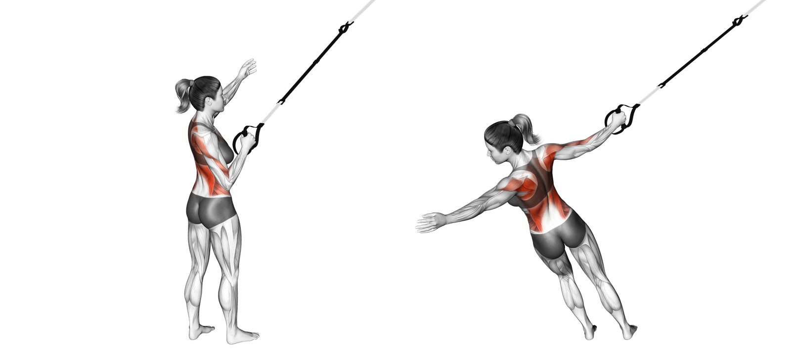 TRX Power Pull: Guide, Muscles Worked, Tips | Athlemove