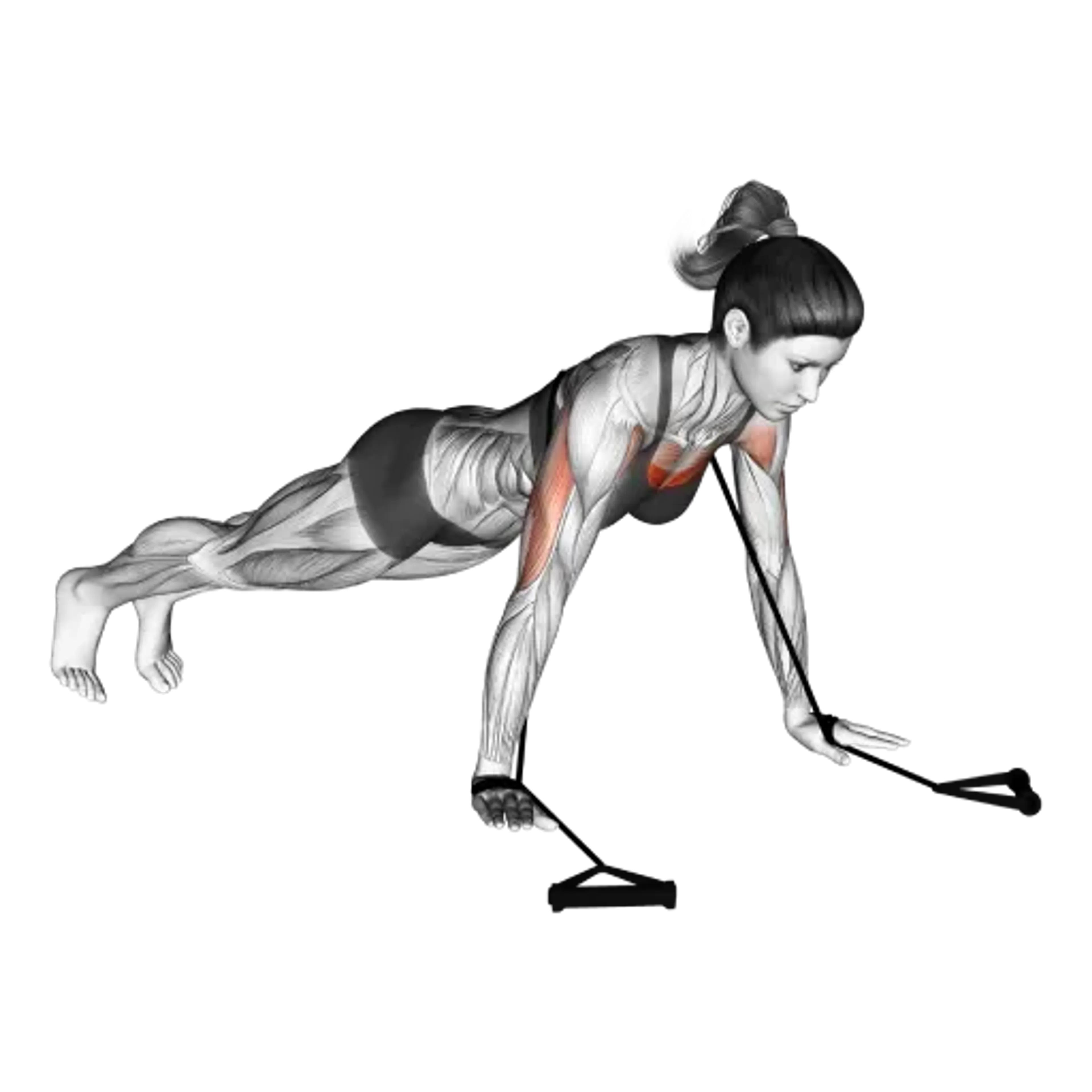 Band Push-Up