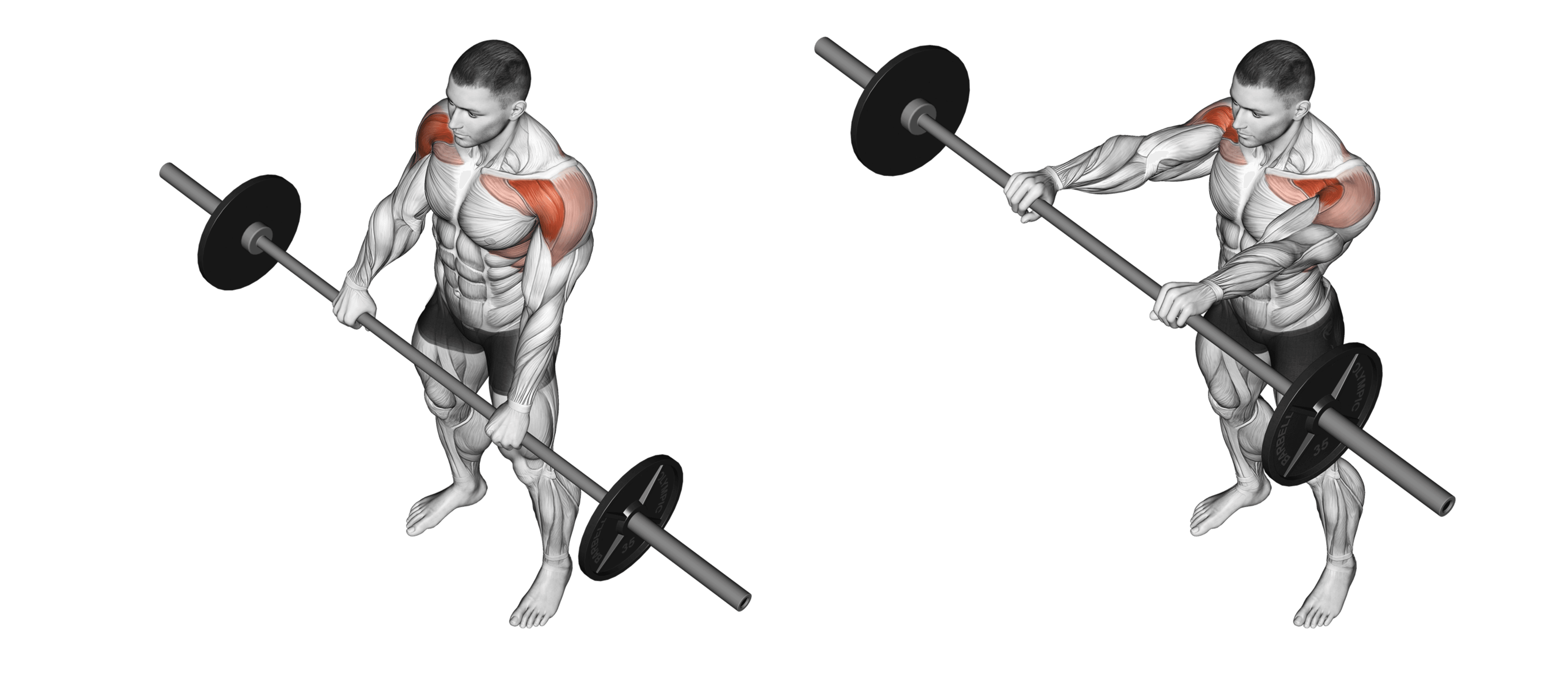 Barbell Front Raise