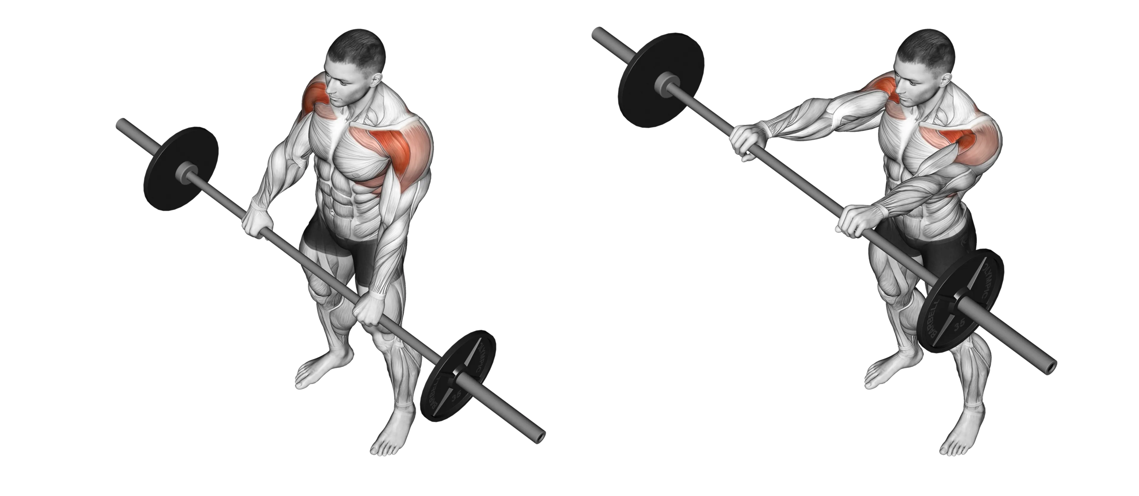 Barbell Front Raise
