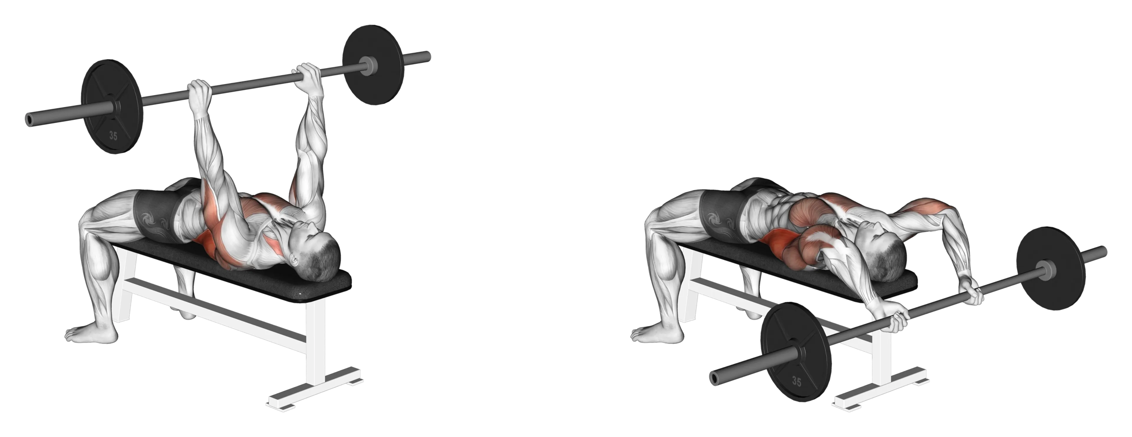 Barbell Pullover