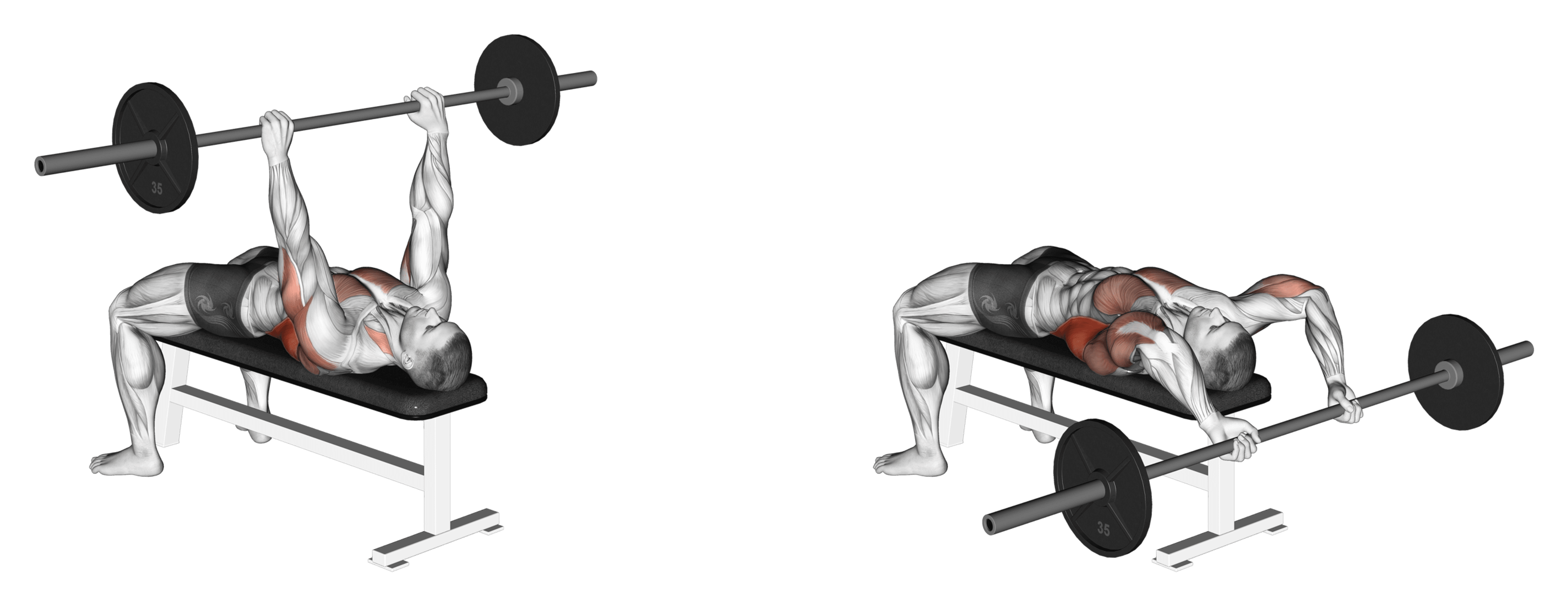 Barbell Pullover