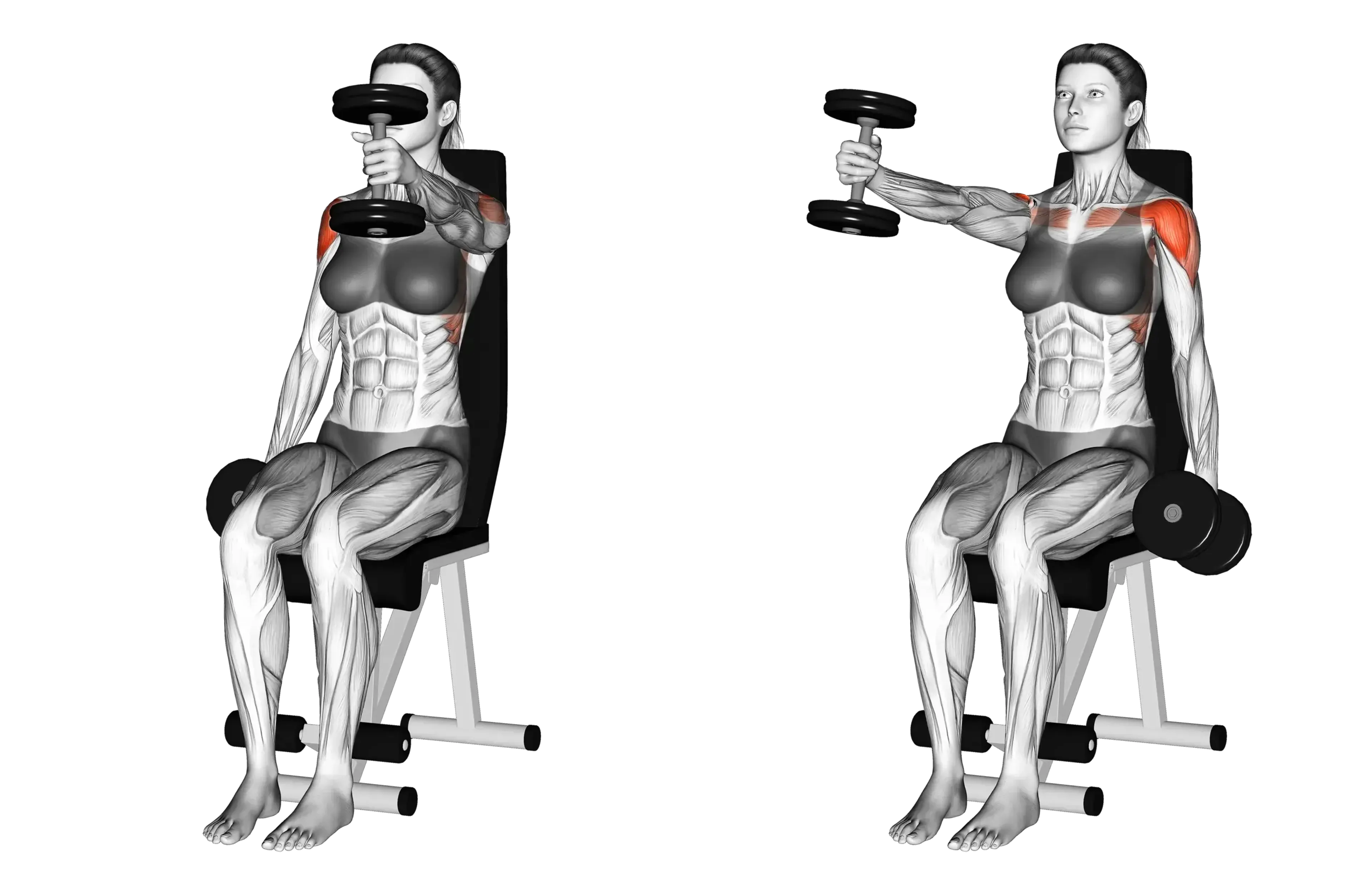 Dumbbell Alternating Seated Front Raise