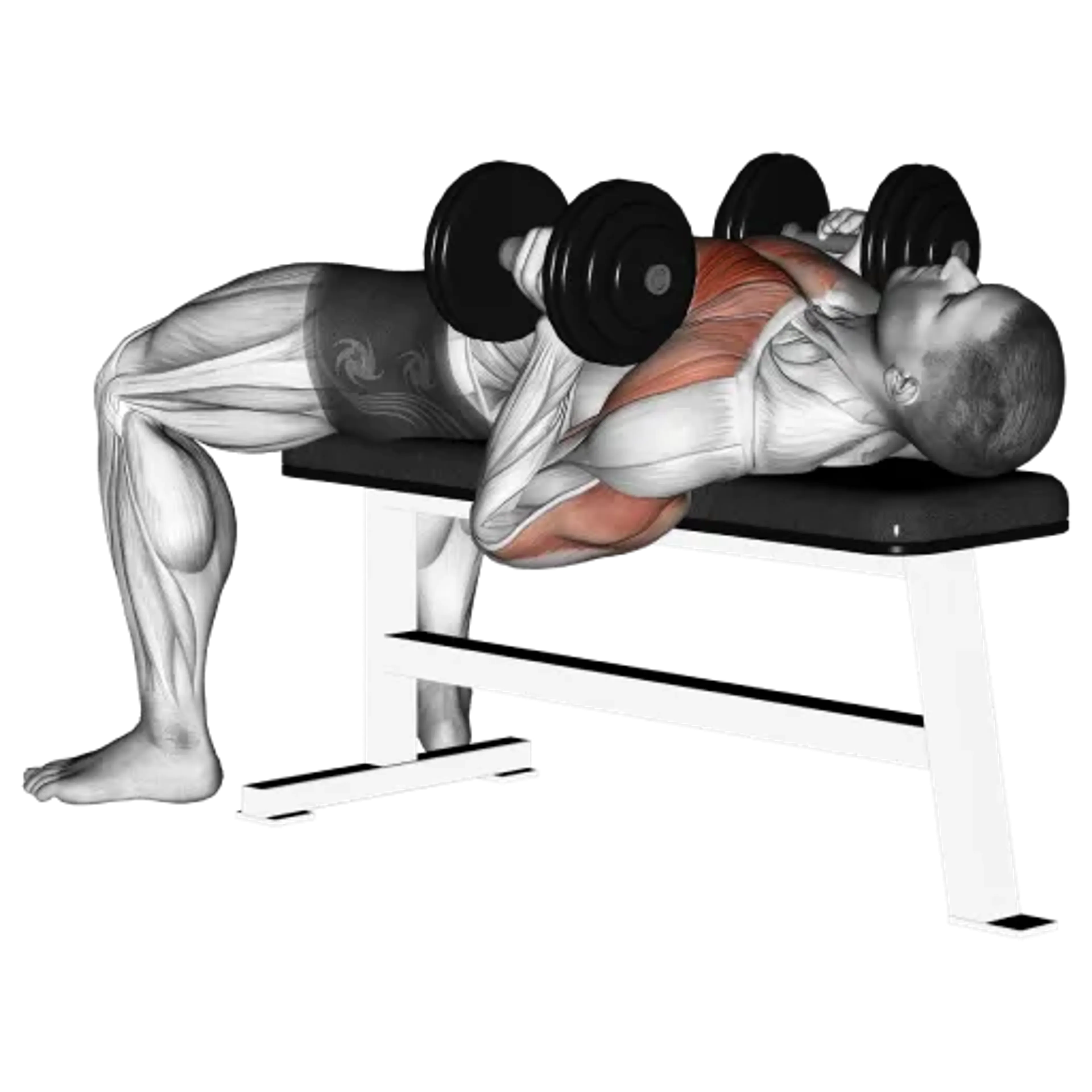 Dumbbell Hammer Bench Press