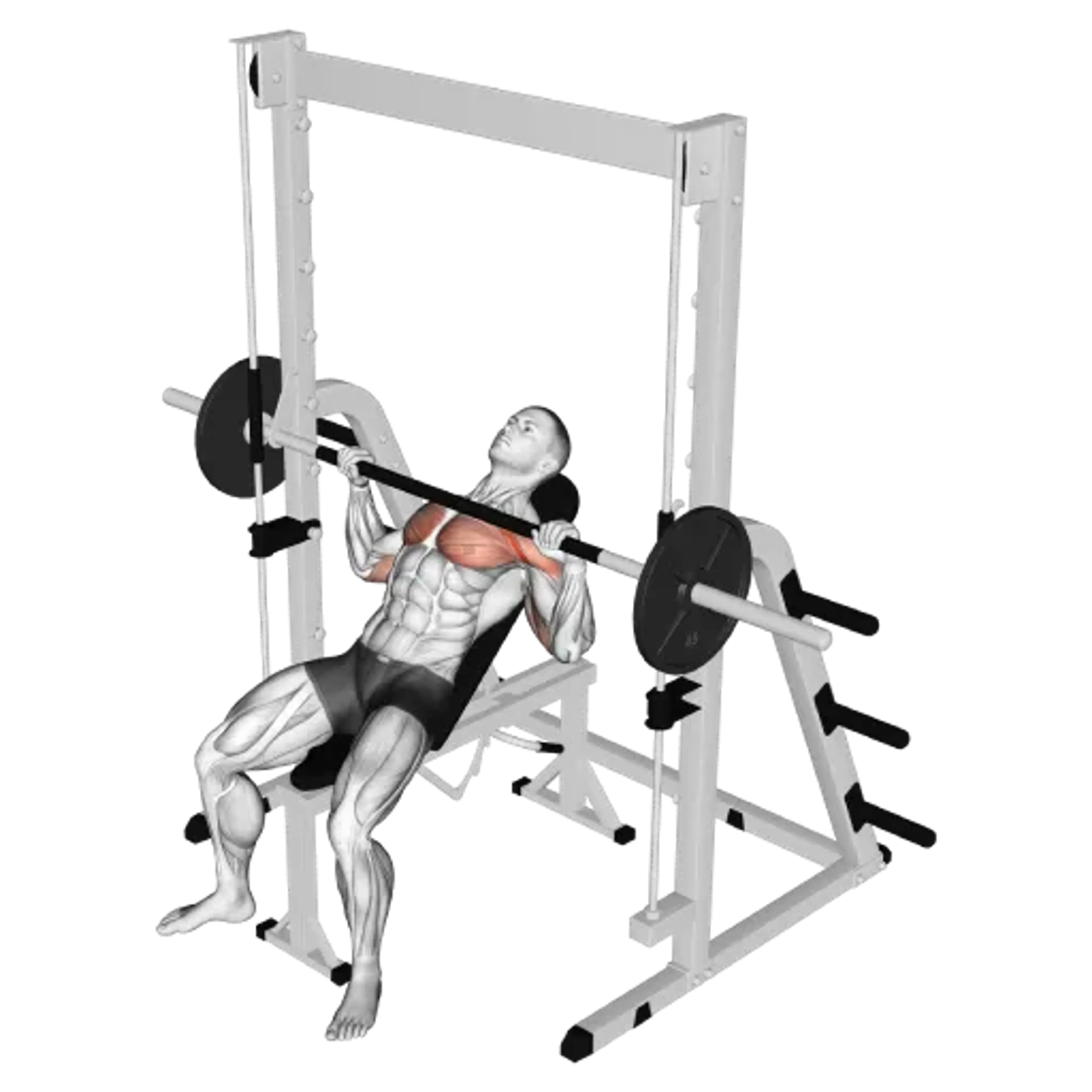Smith Machine Incline Bench Press