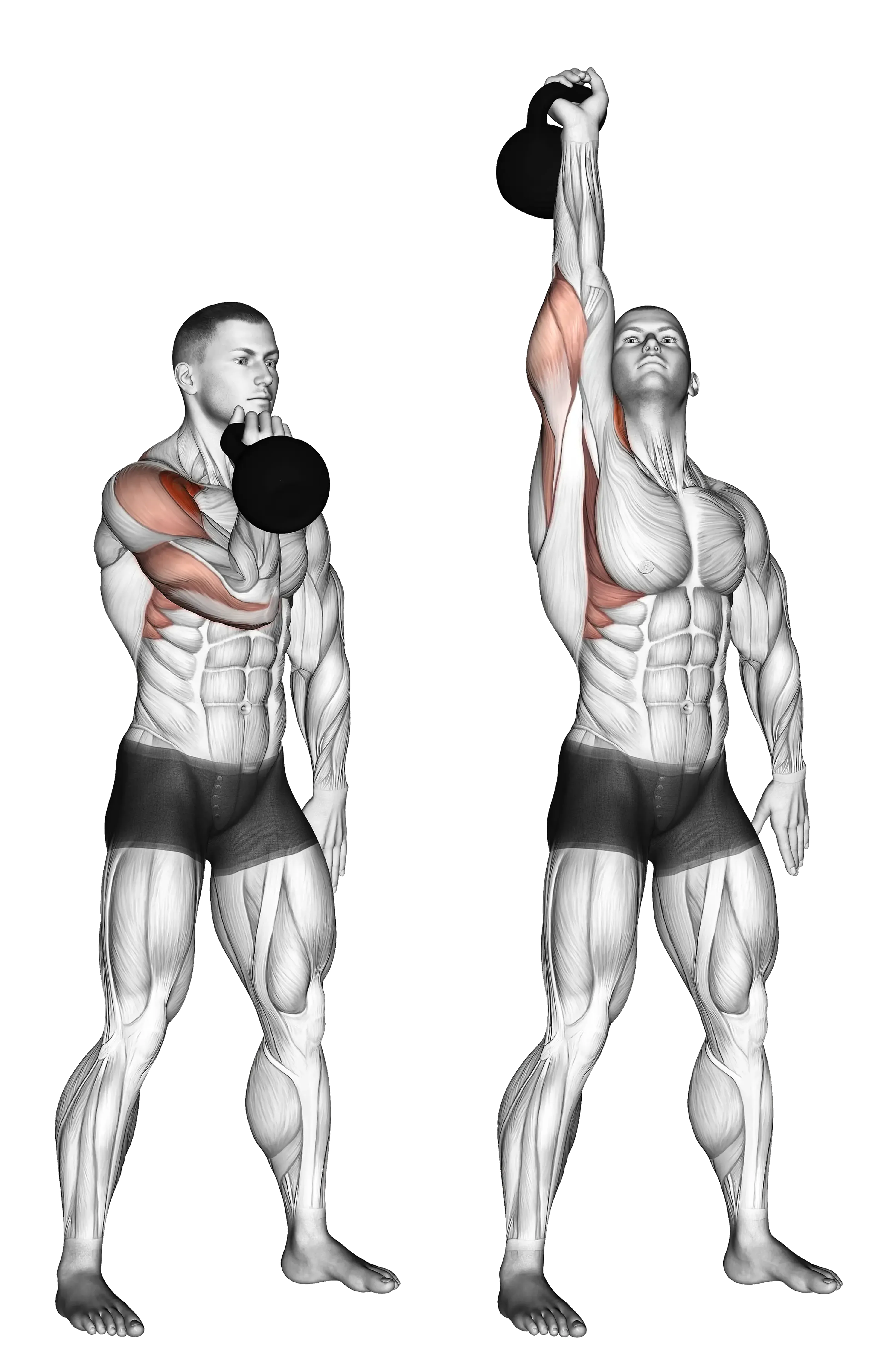 Kettlebell Single-Arm Arnold Press