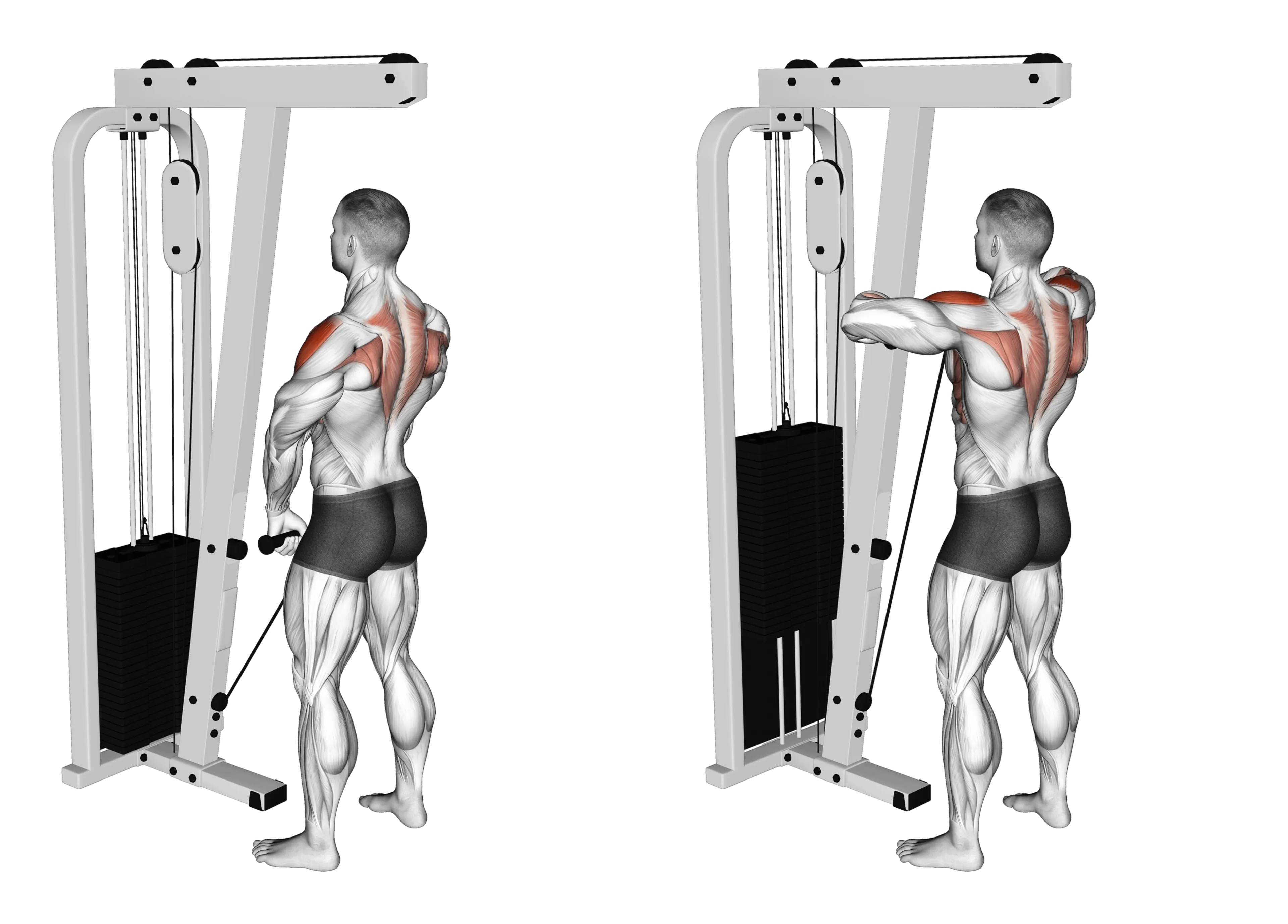 Cable Upright Row