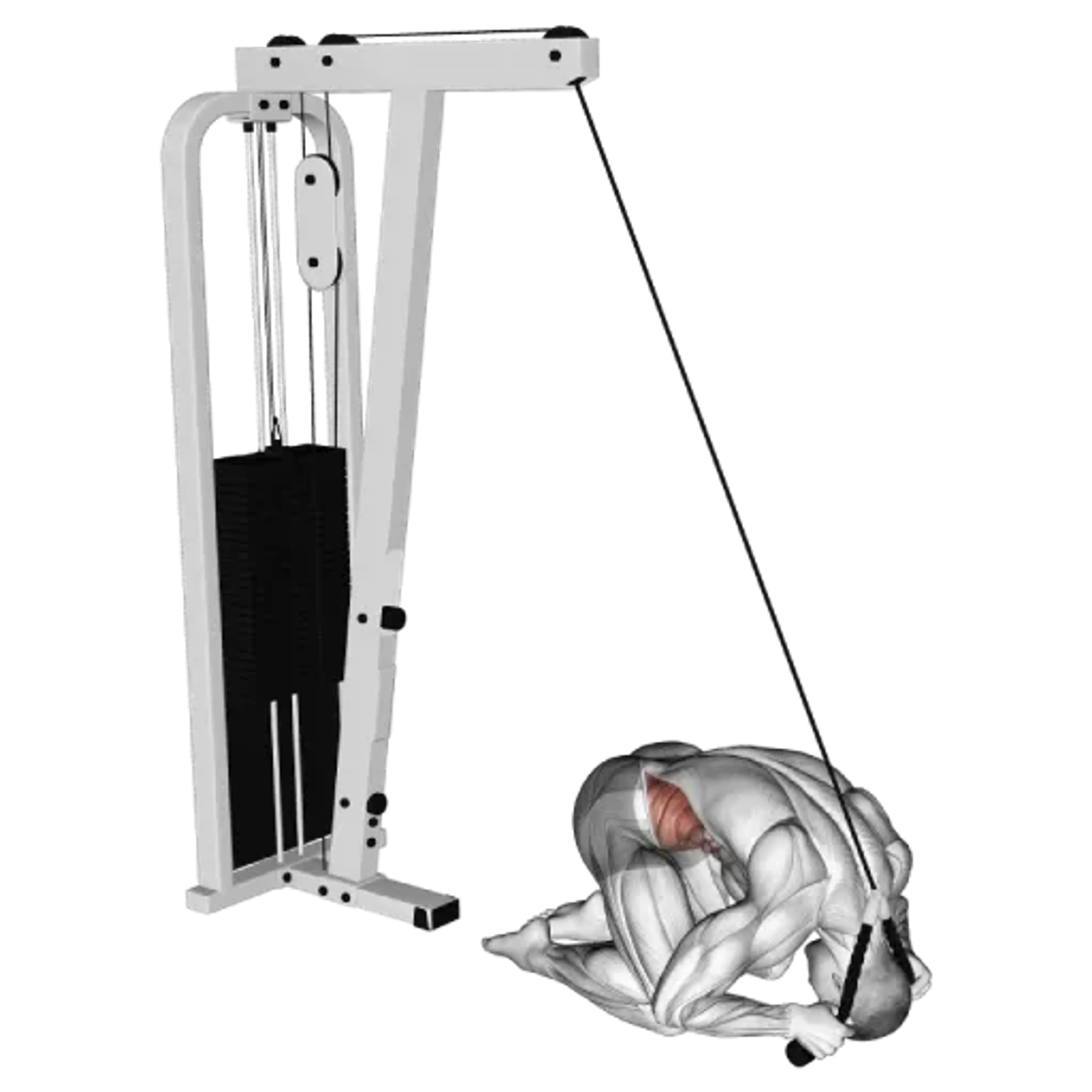 Cable Kneeling Crunch
