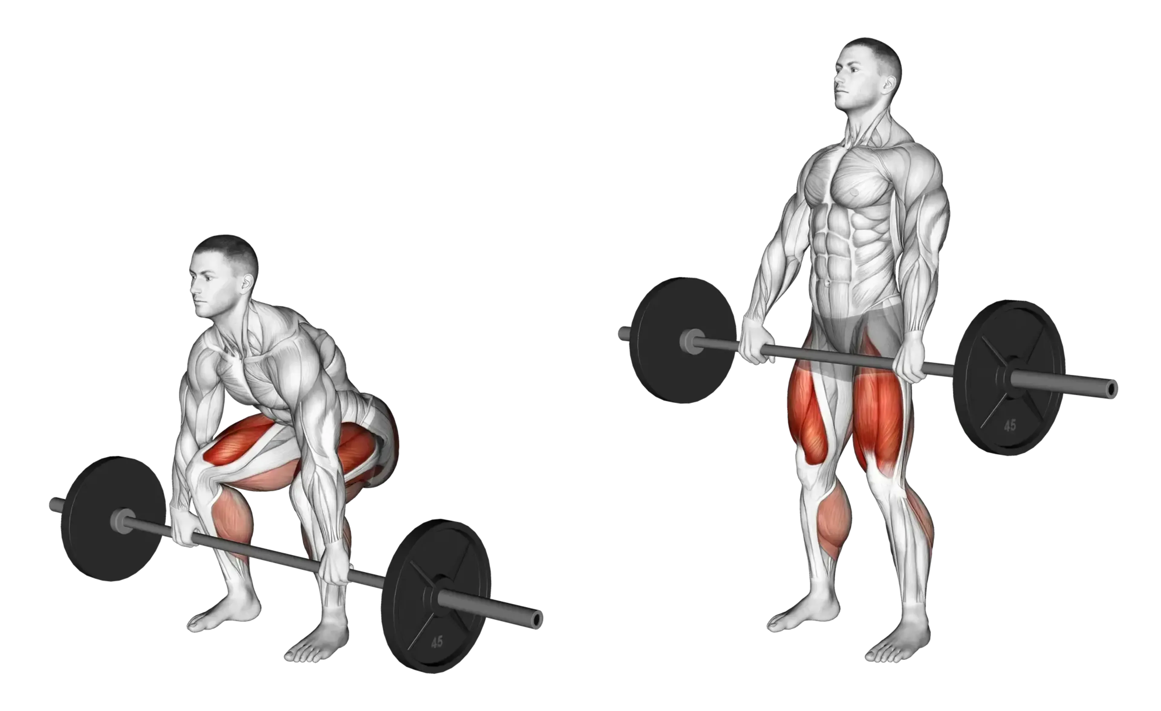 Barbell Deadlift
