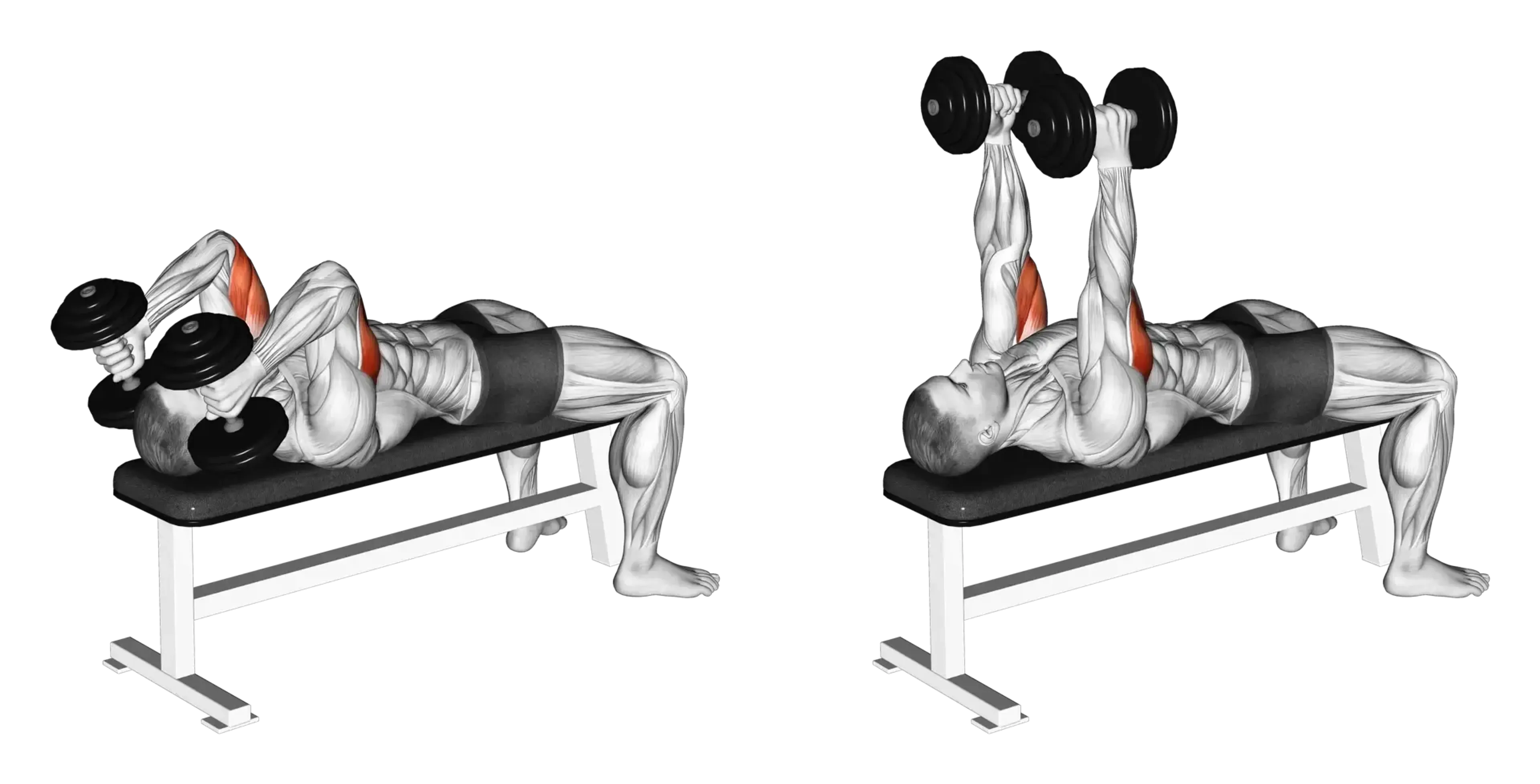 Dumbbell Lying Triceps Extension