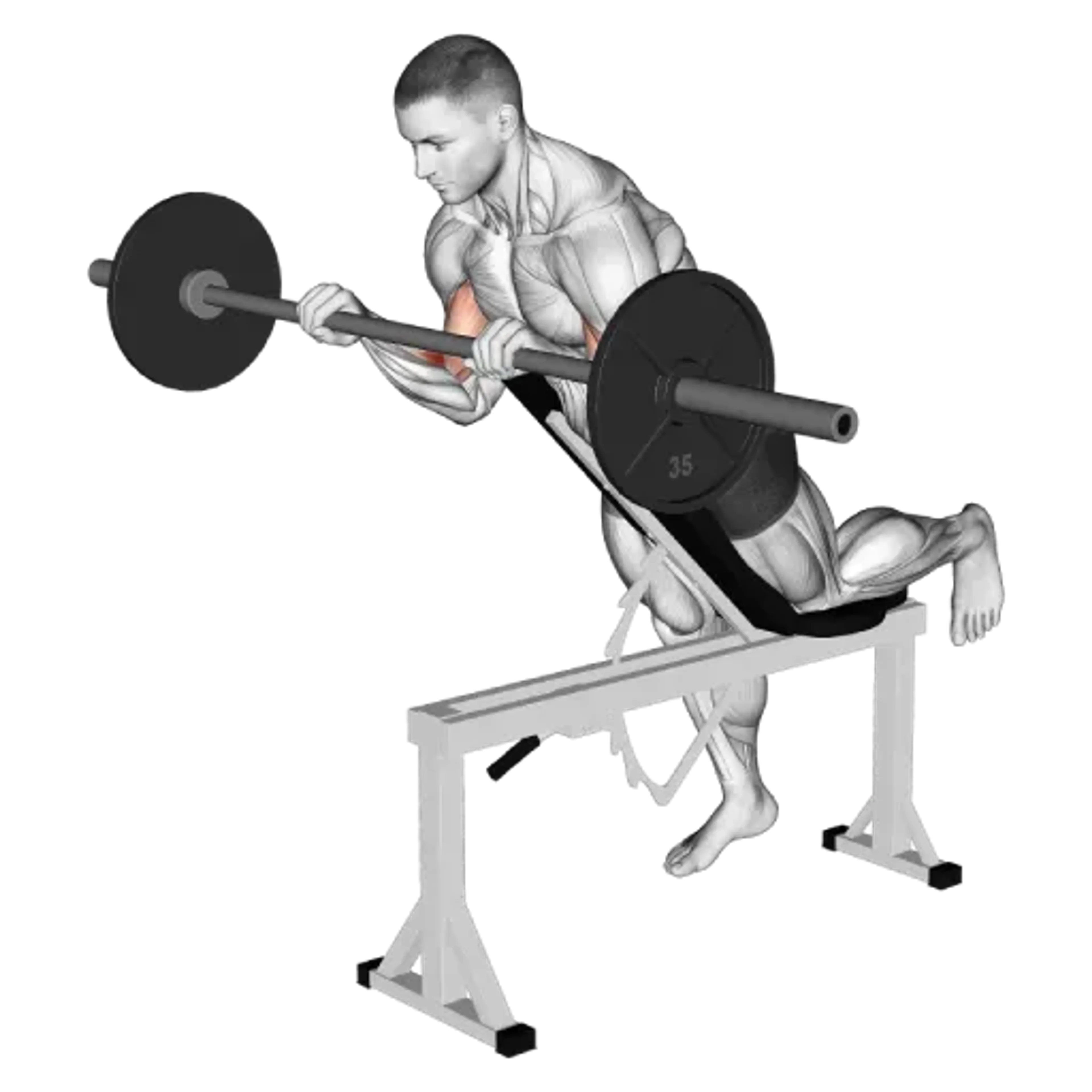 Barbell Spider Curl (Reverse Grip)