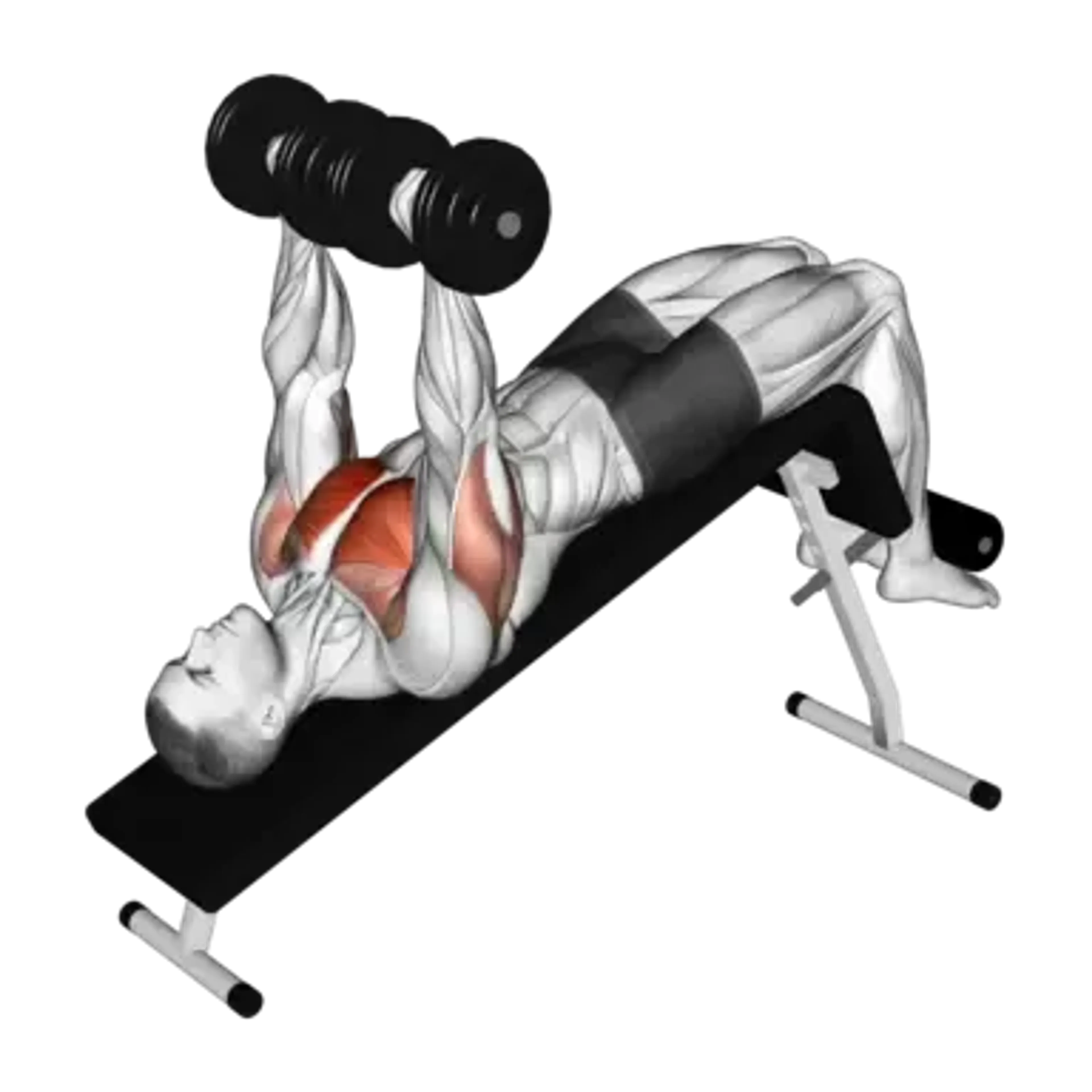 Dumbbell Decline Bench Press