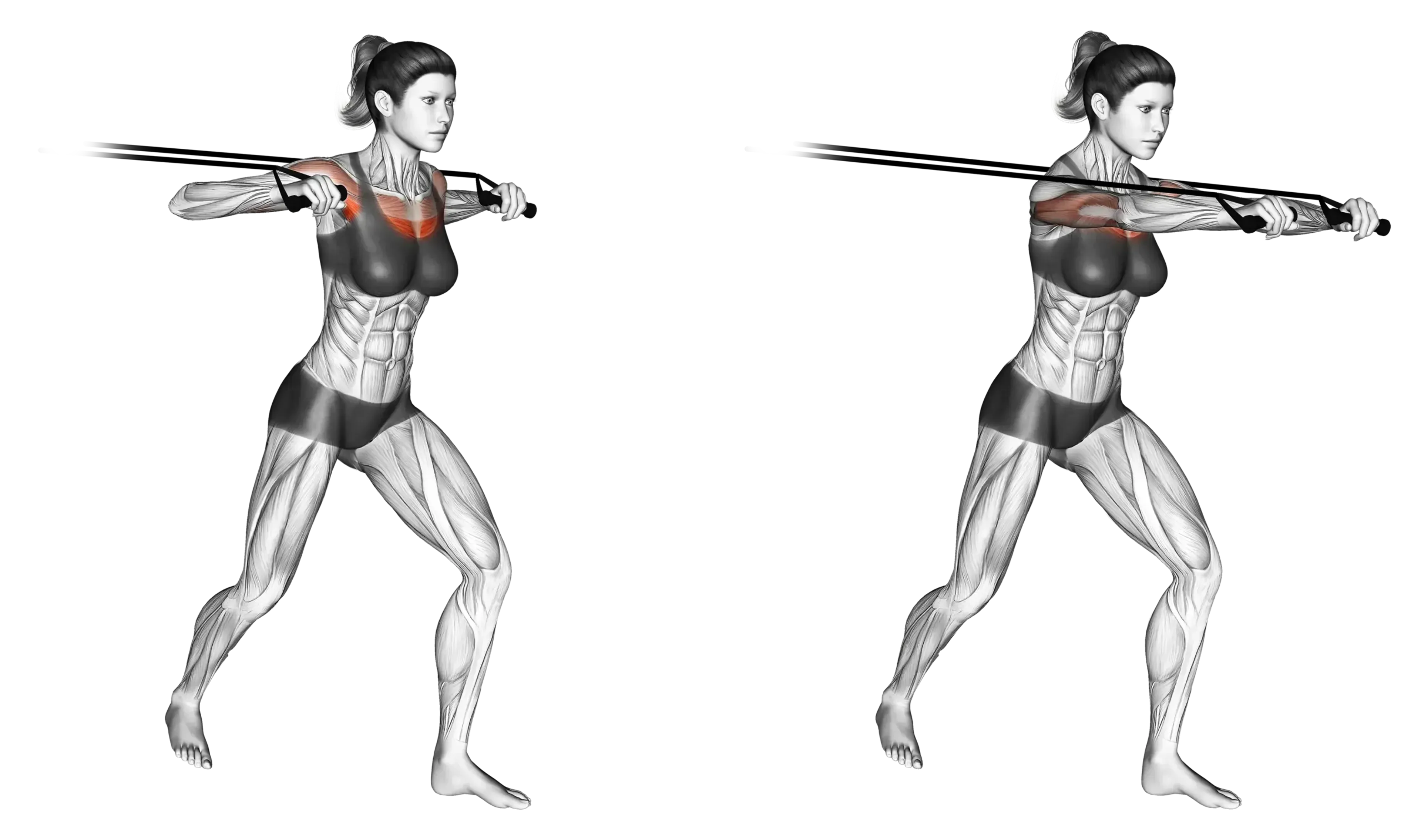 Band Standing Chest Press