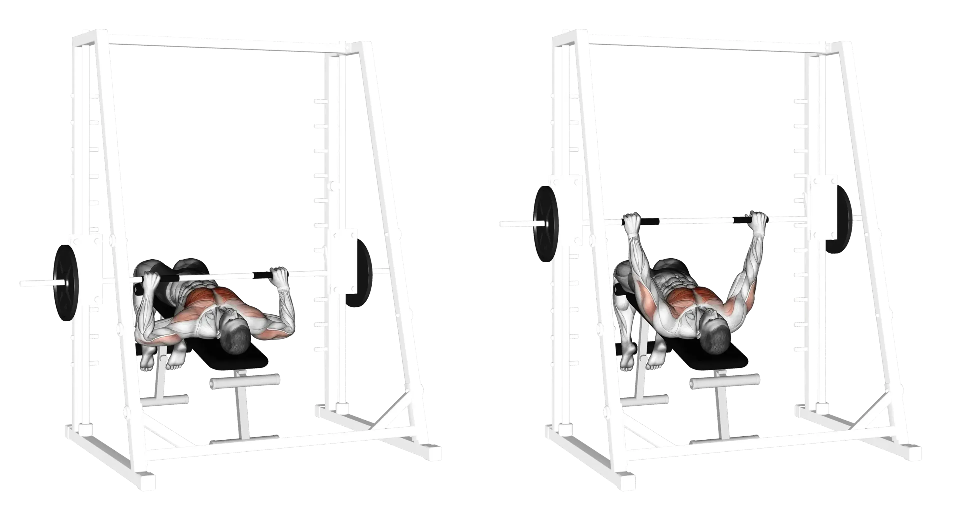 Smith Machine Decline Bench Press