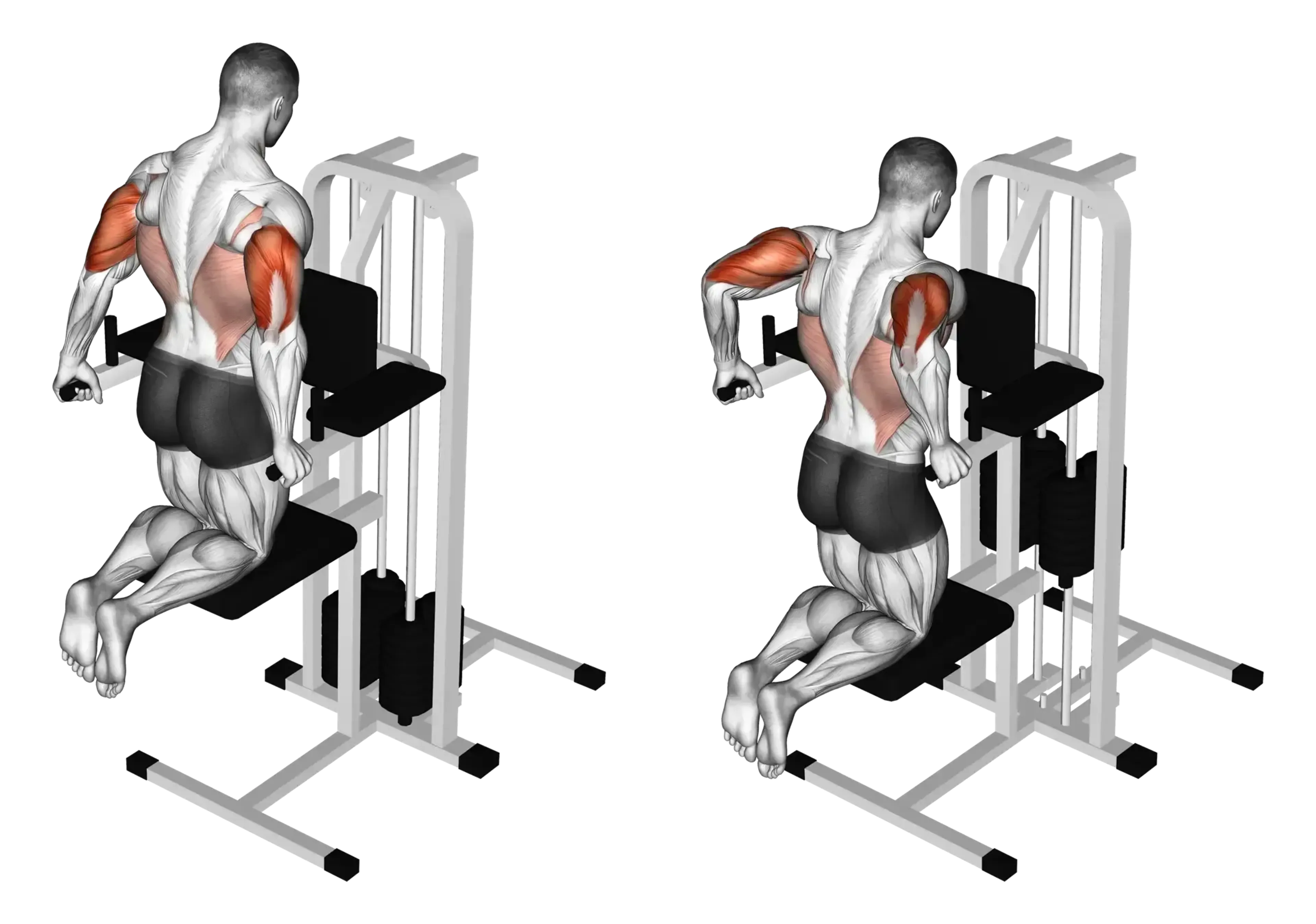 Machine Assisted Triceps Dip