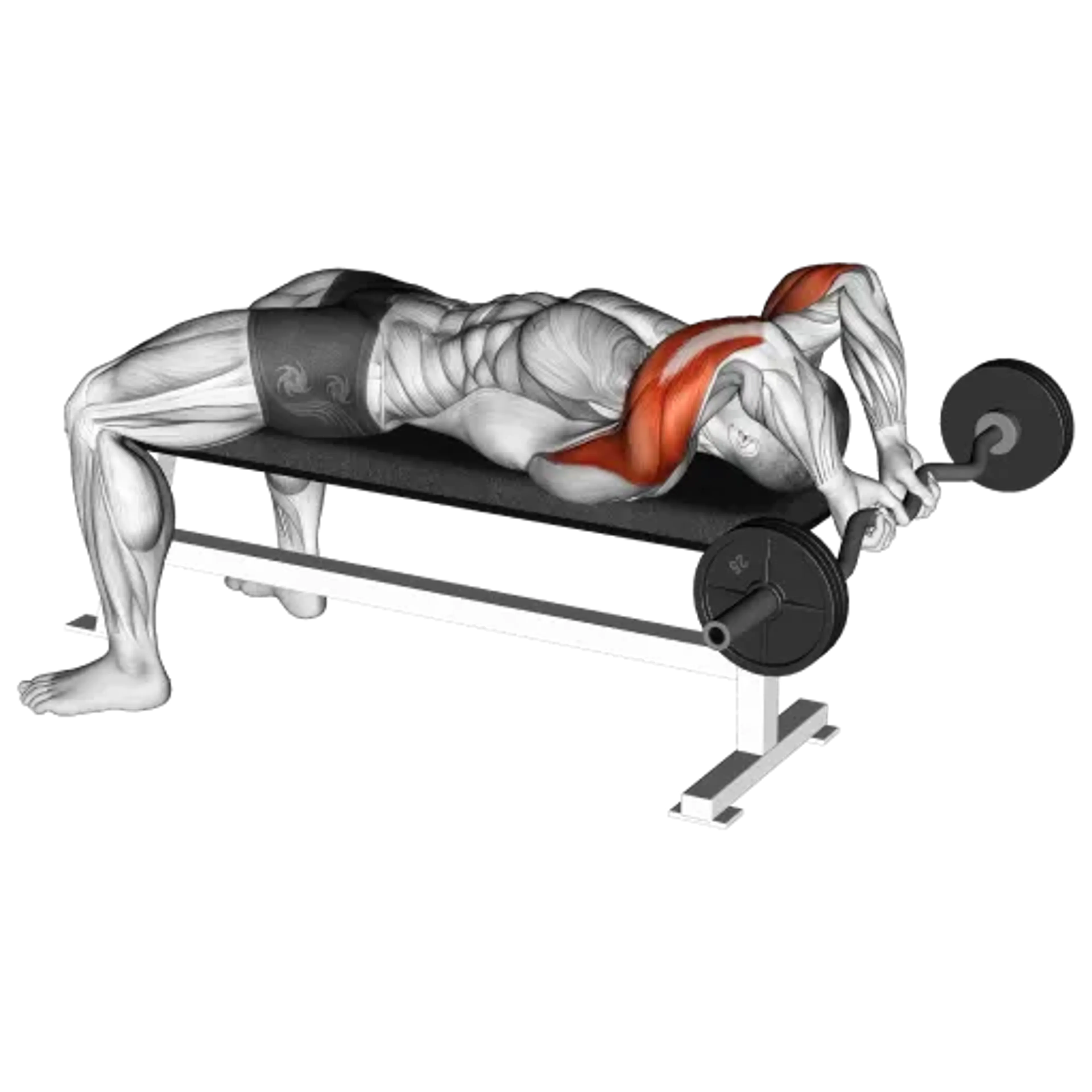 EZ Bar Lying Triceps Extension
