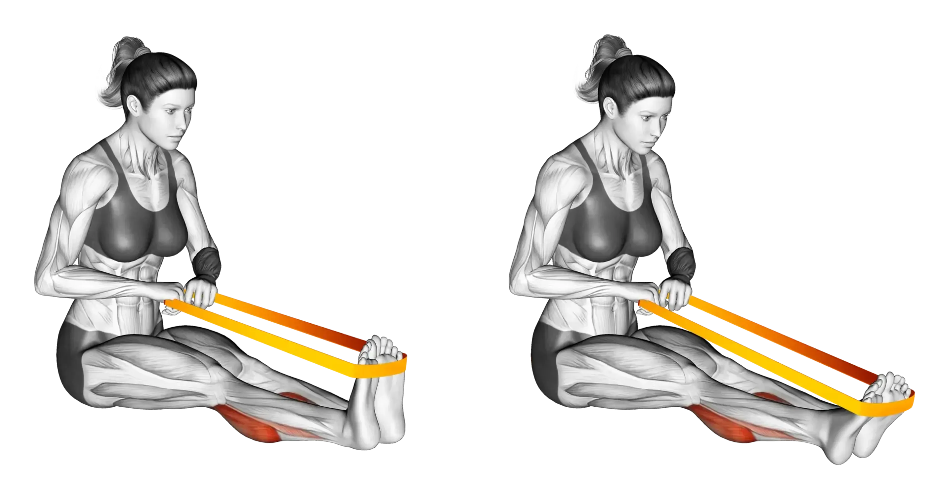 Band Seated Calf Raise