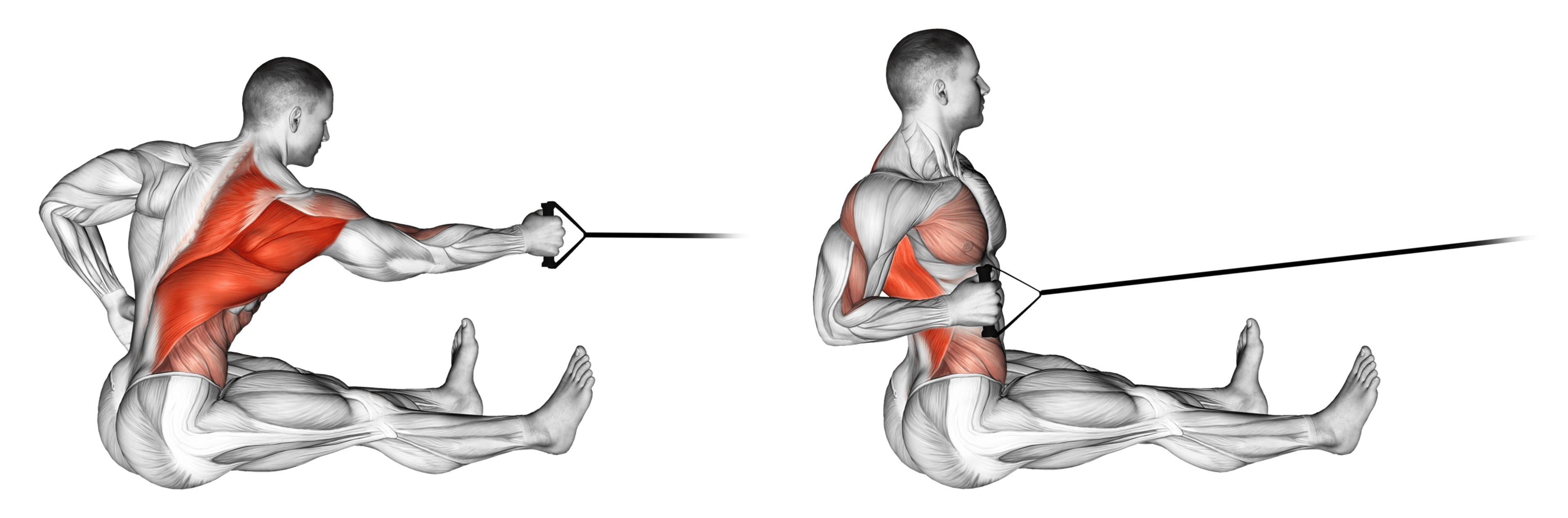 Band Single-Arm Seated Row