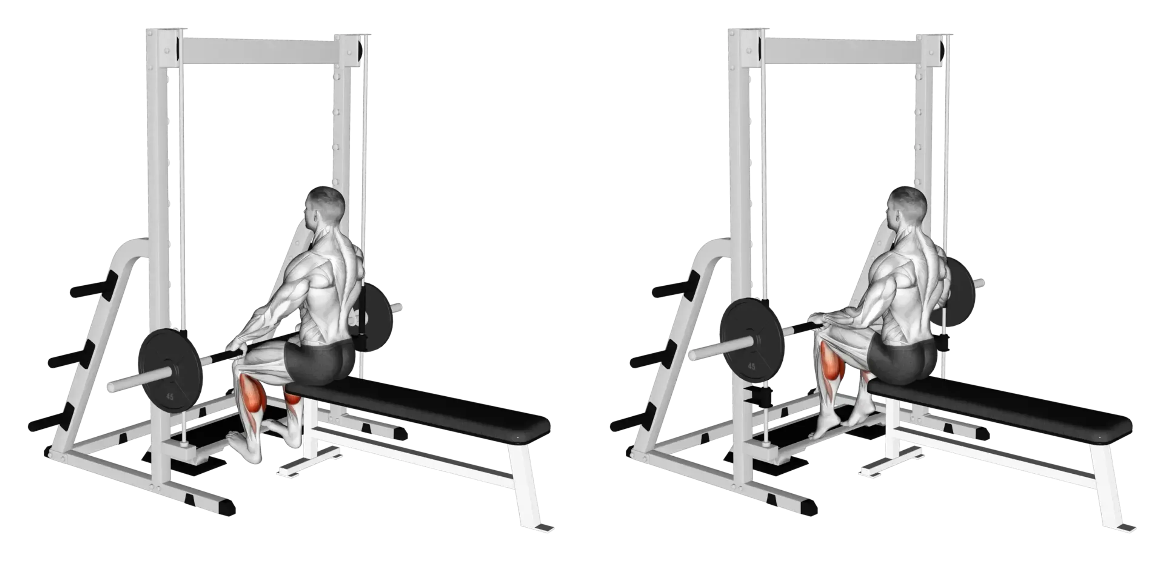 Smith Machine Seated Calf Raise