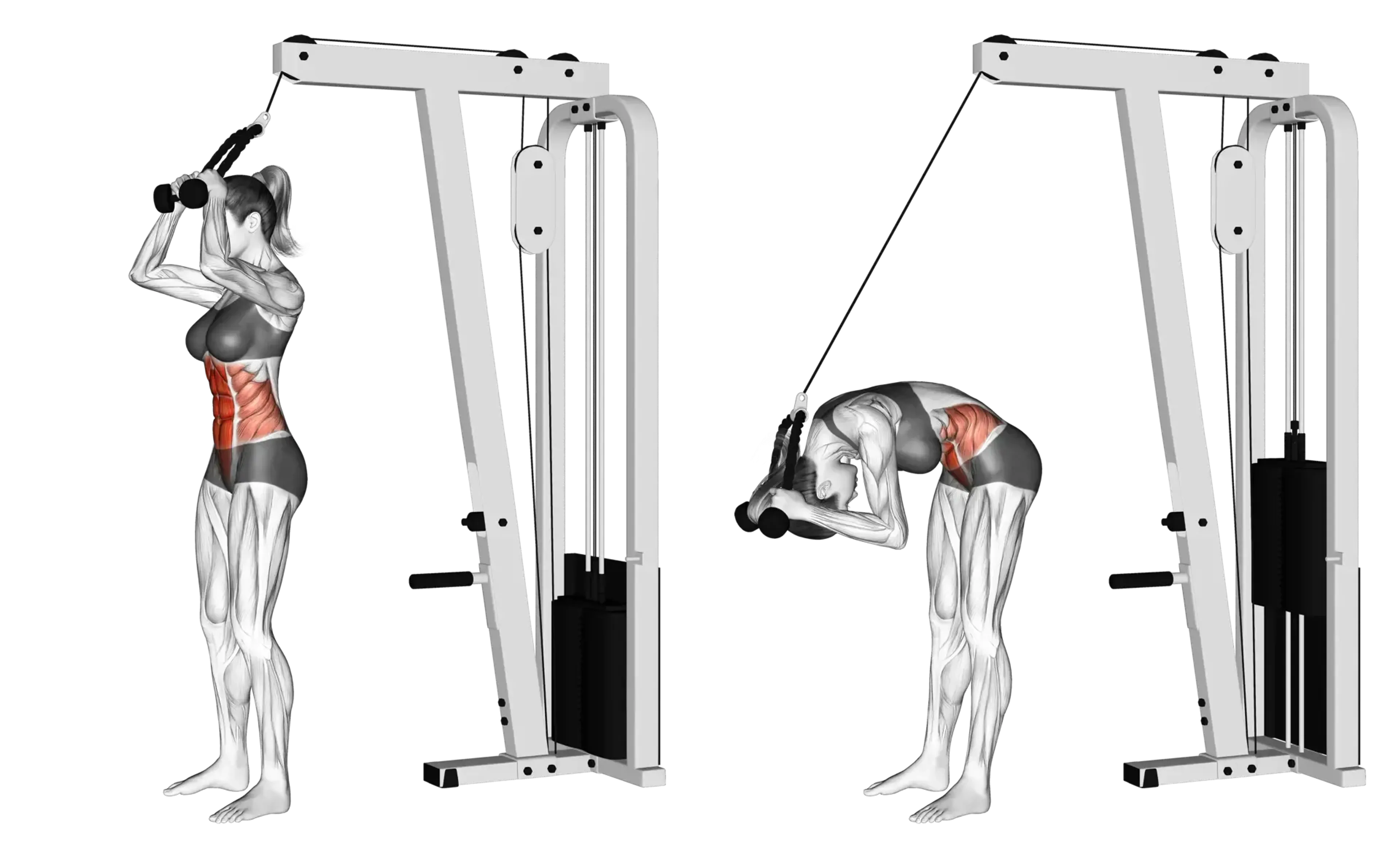 Cable Standing Crunch