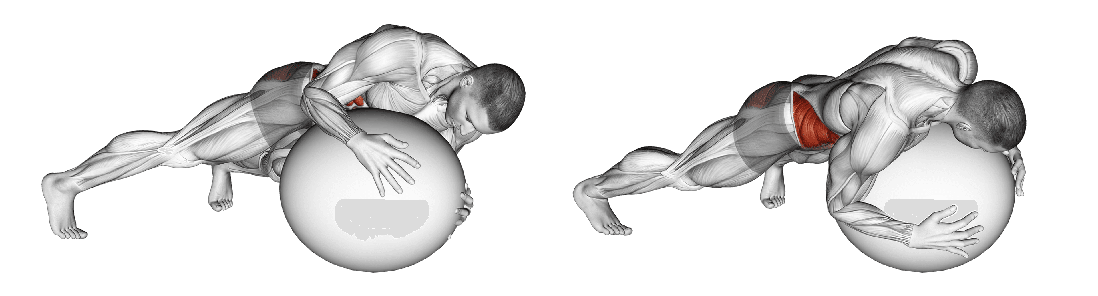 Exercise Ball Prone Twist