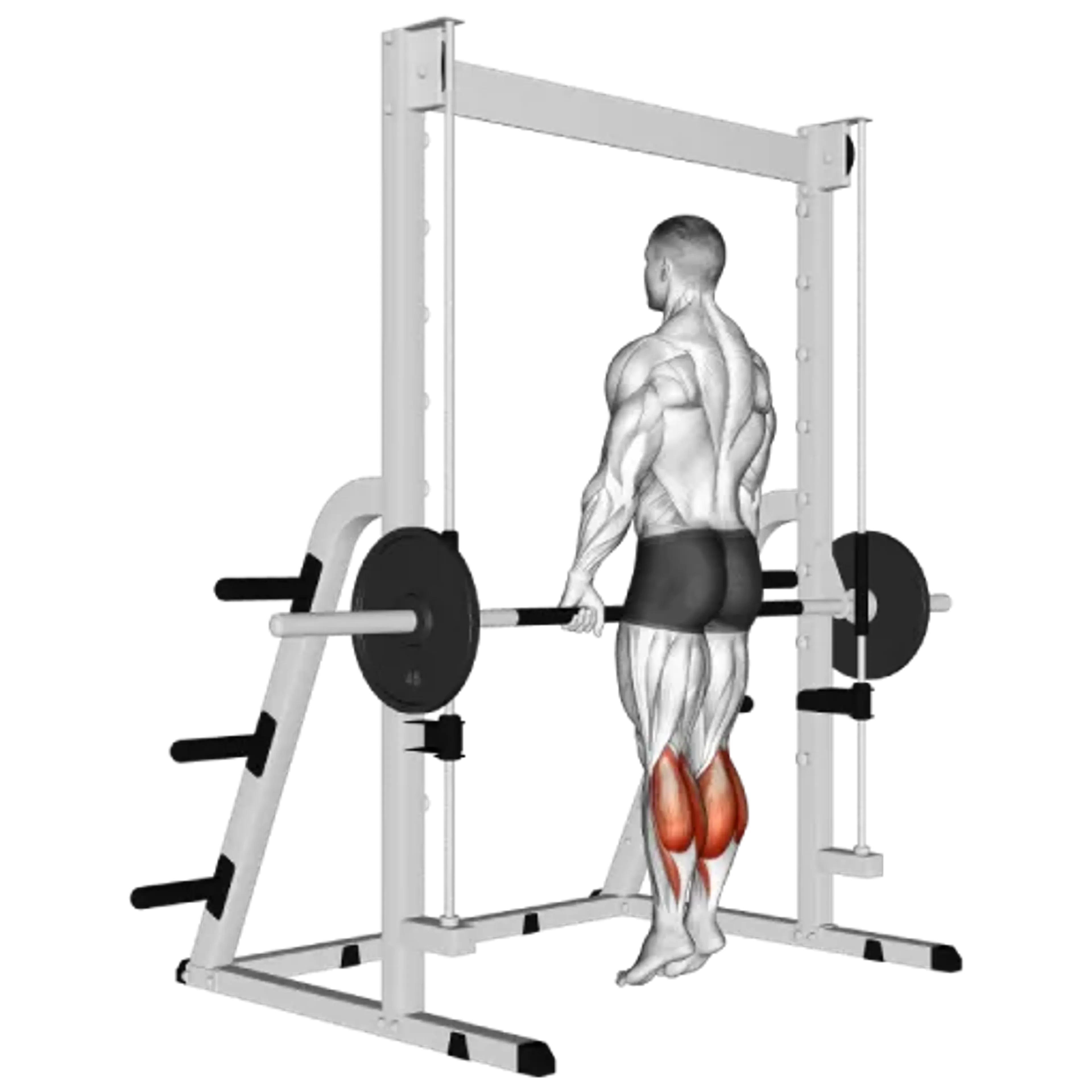 Smith Machine Calf Raise