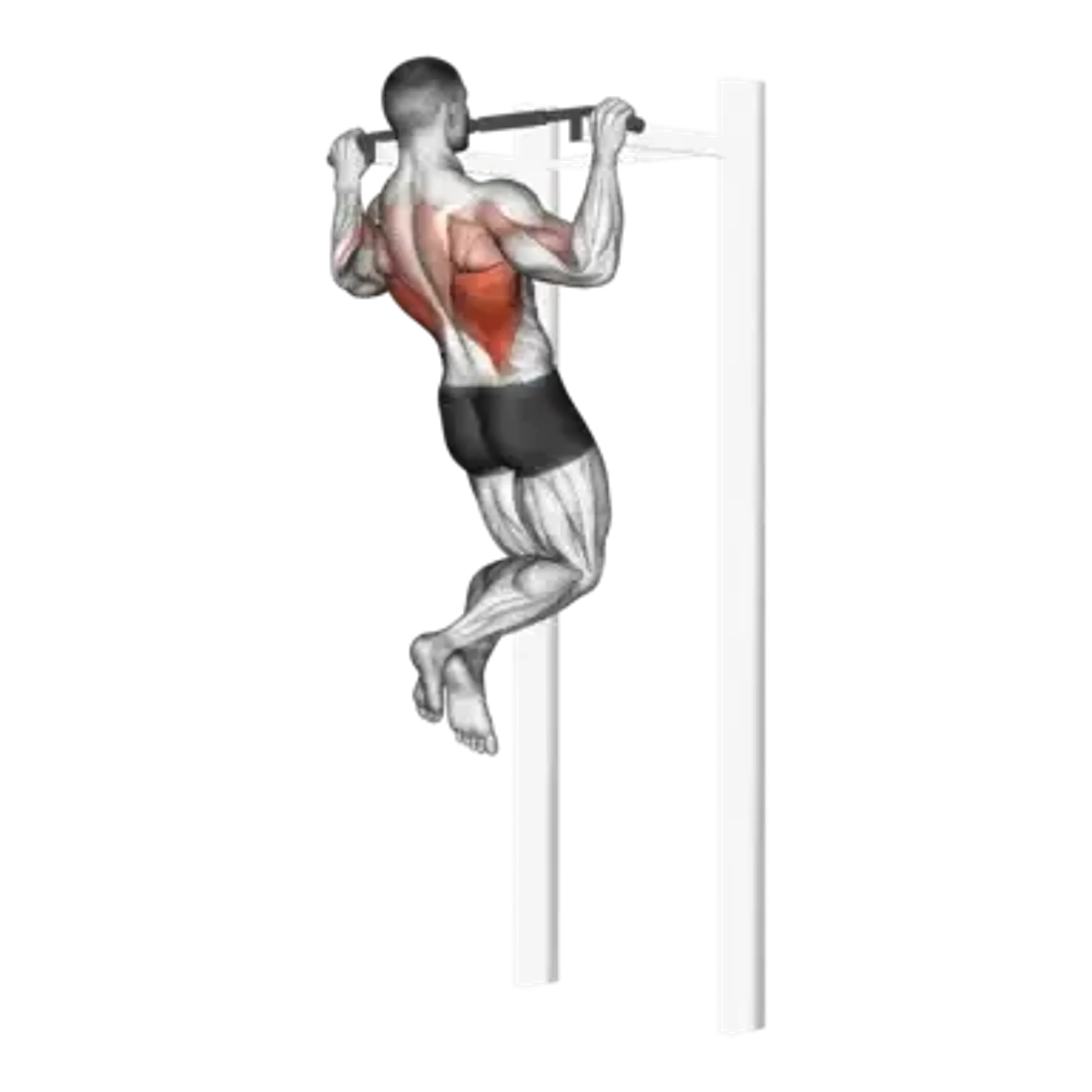 Pull-Up