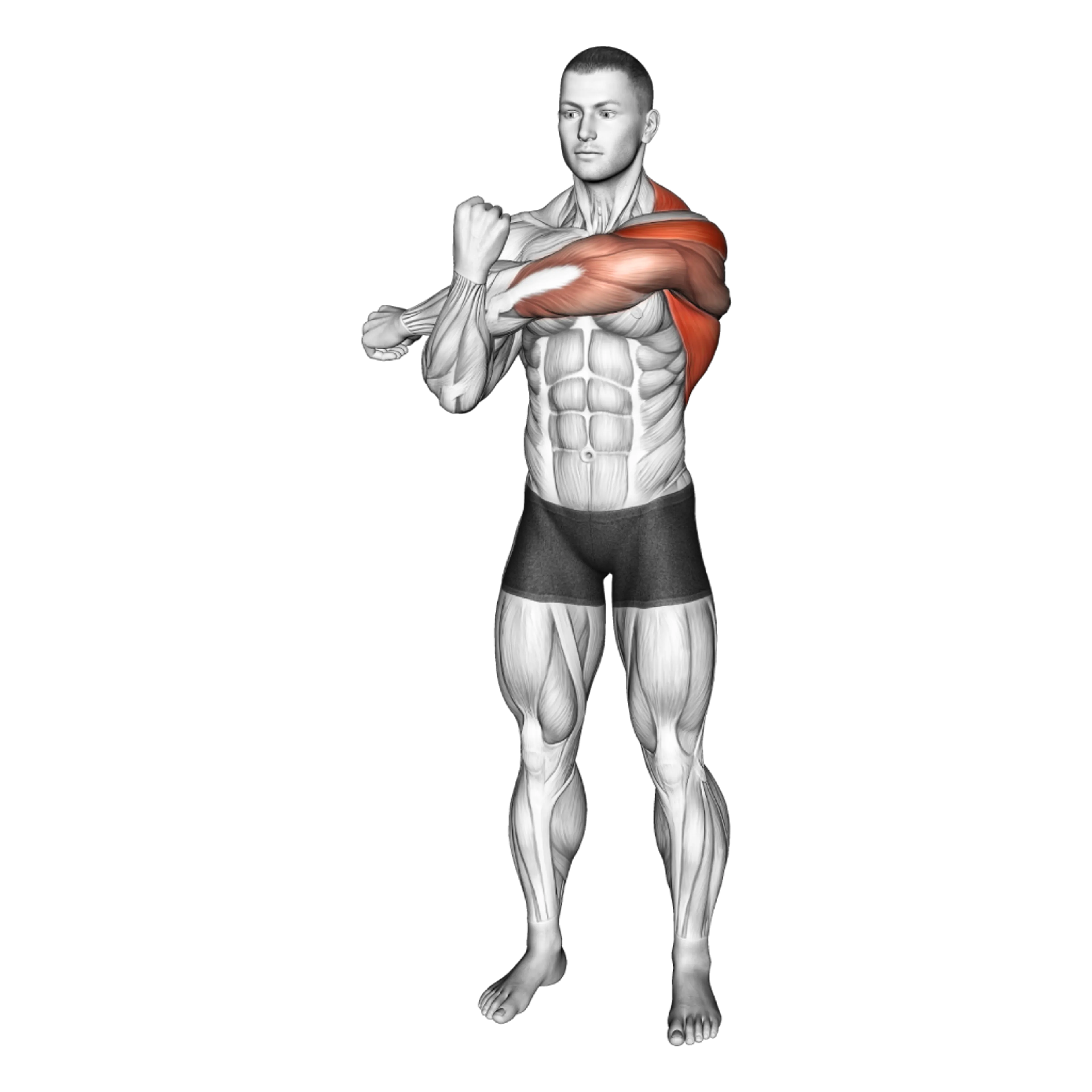 Cross-Body Shoulder Stretch