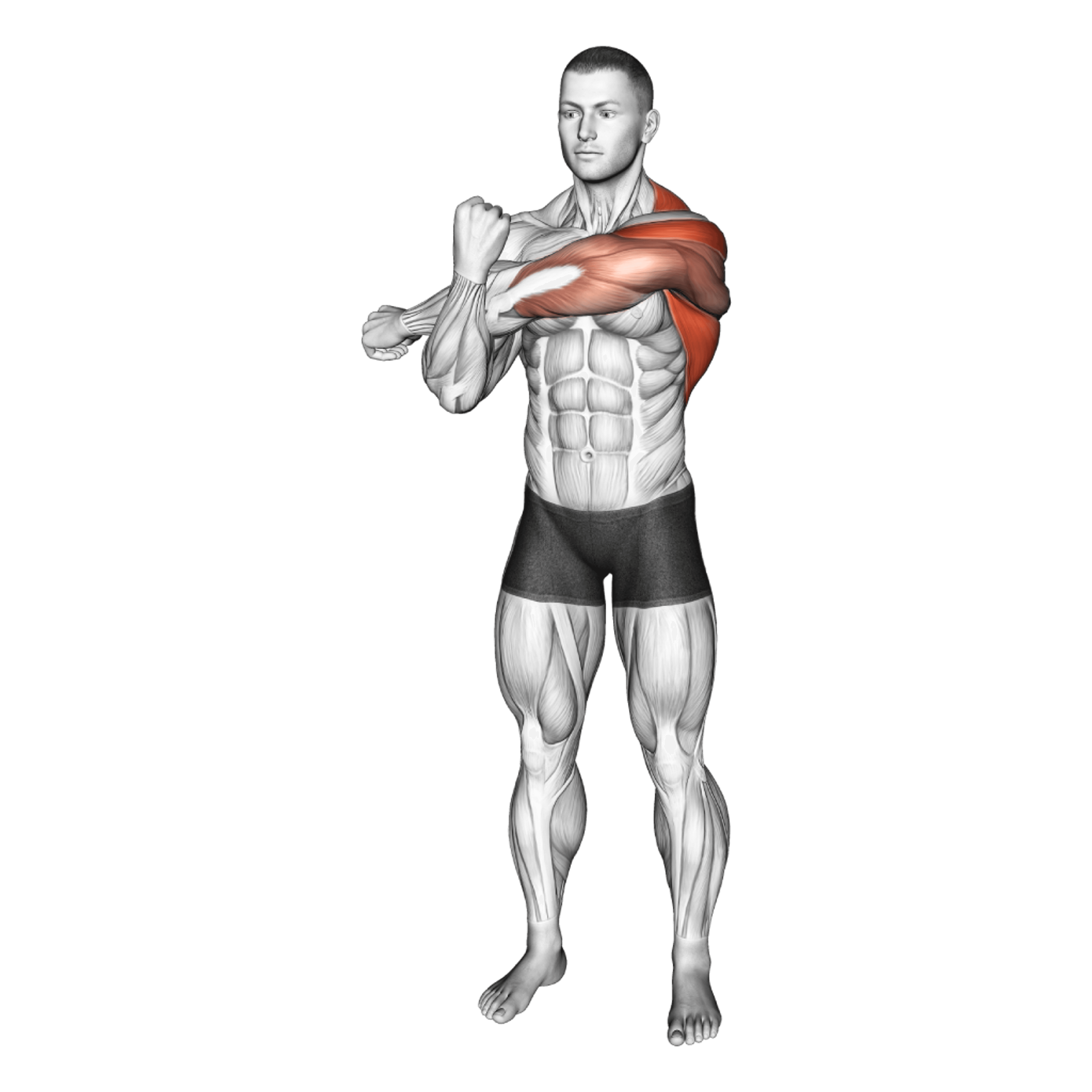 Cross-Body Shoulder Stretch