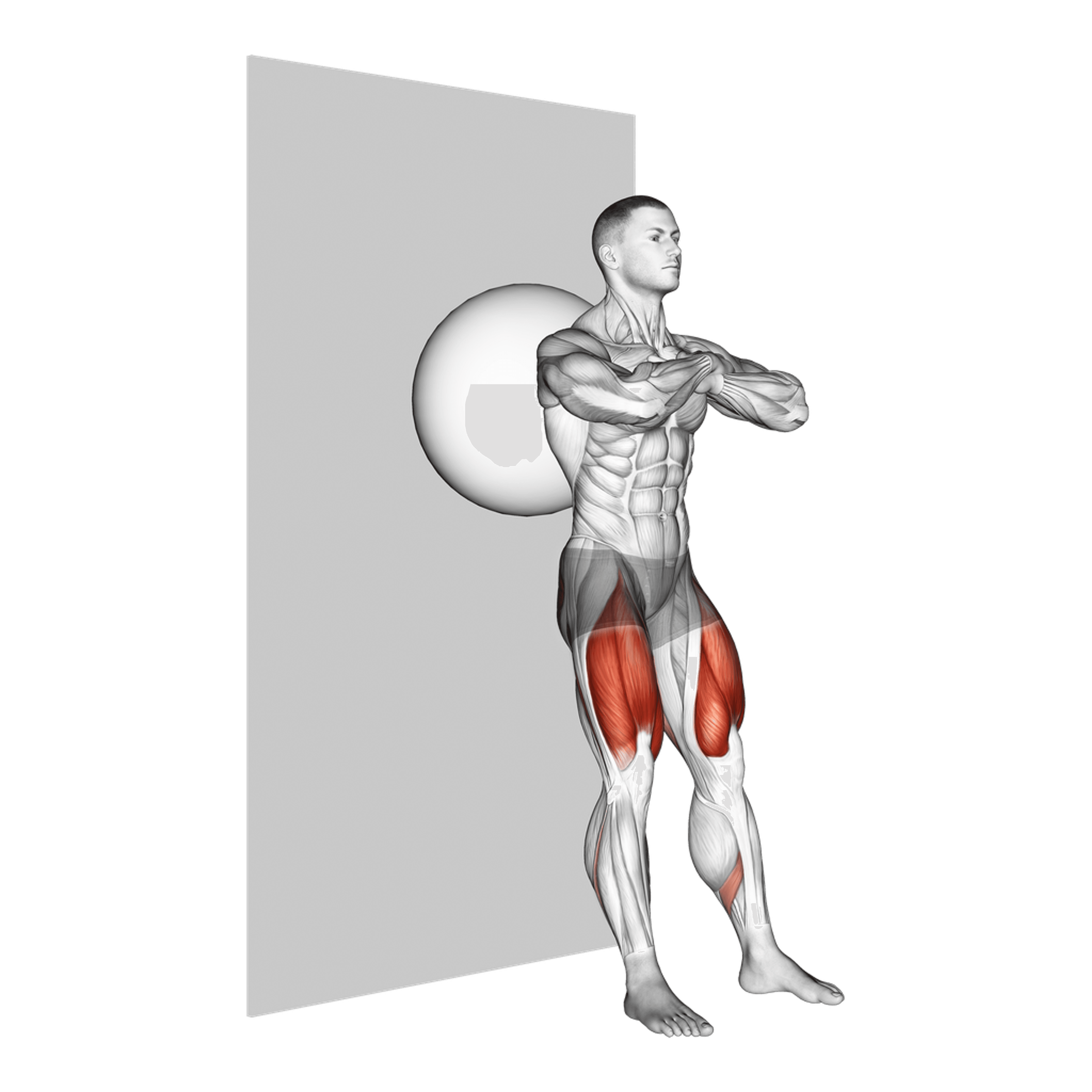 Exercise Ball Wall Squat