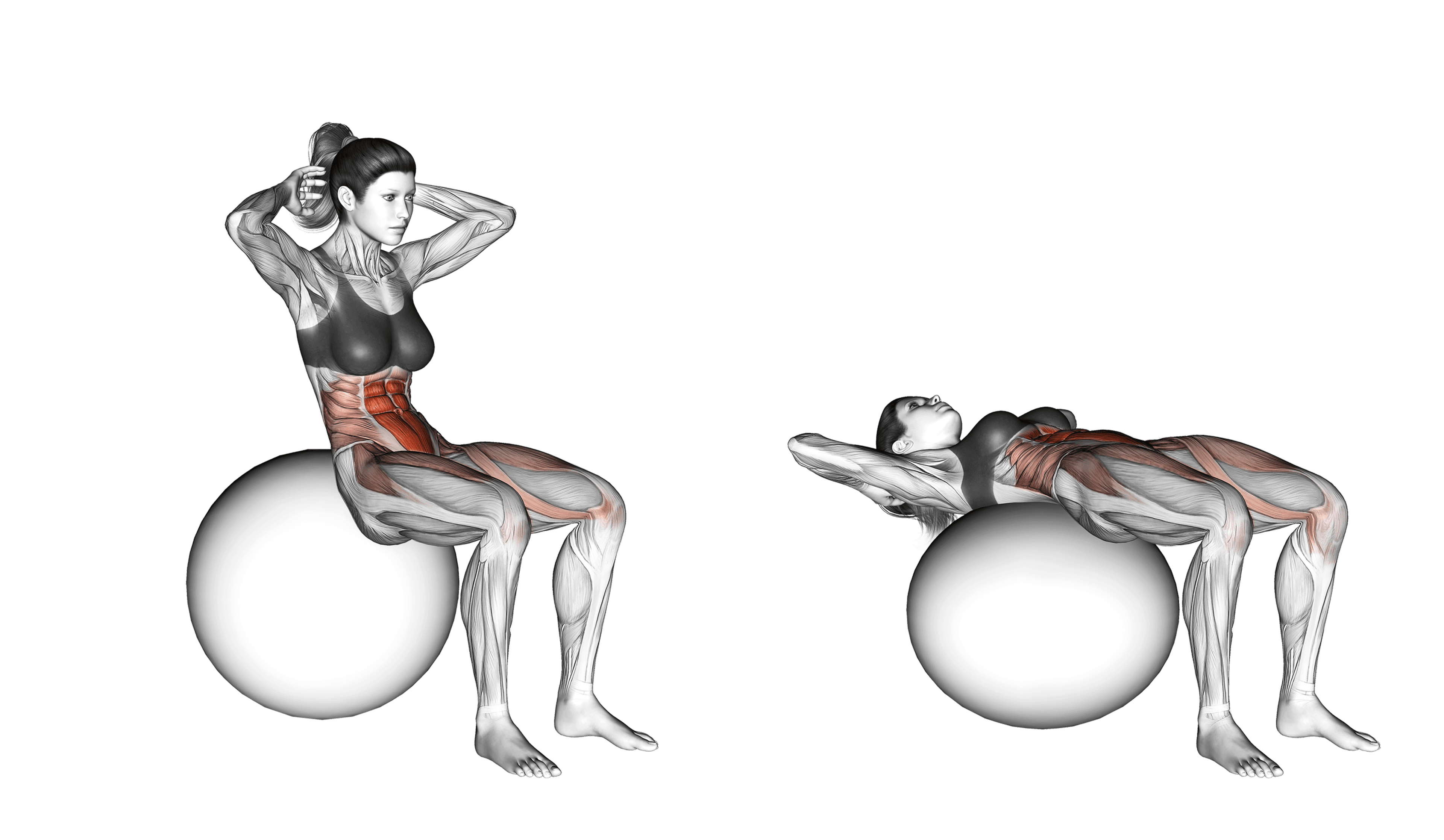 Exercise Ball Sit-Up