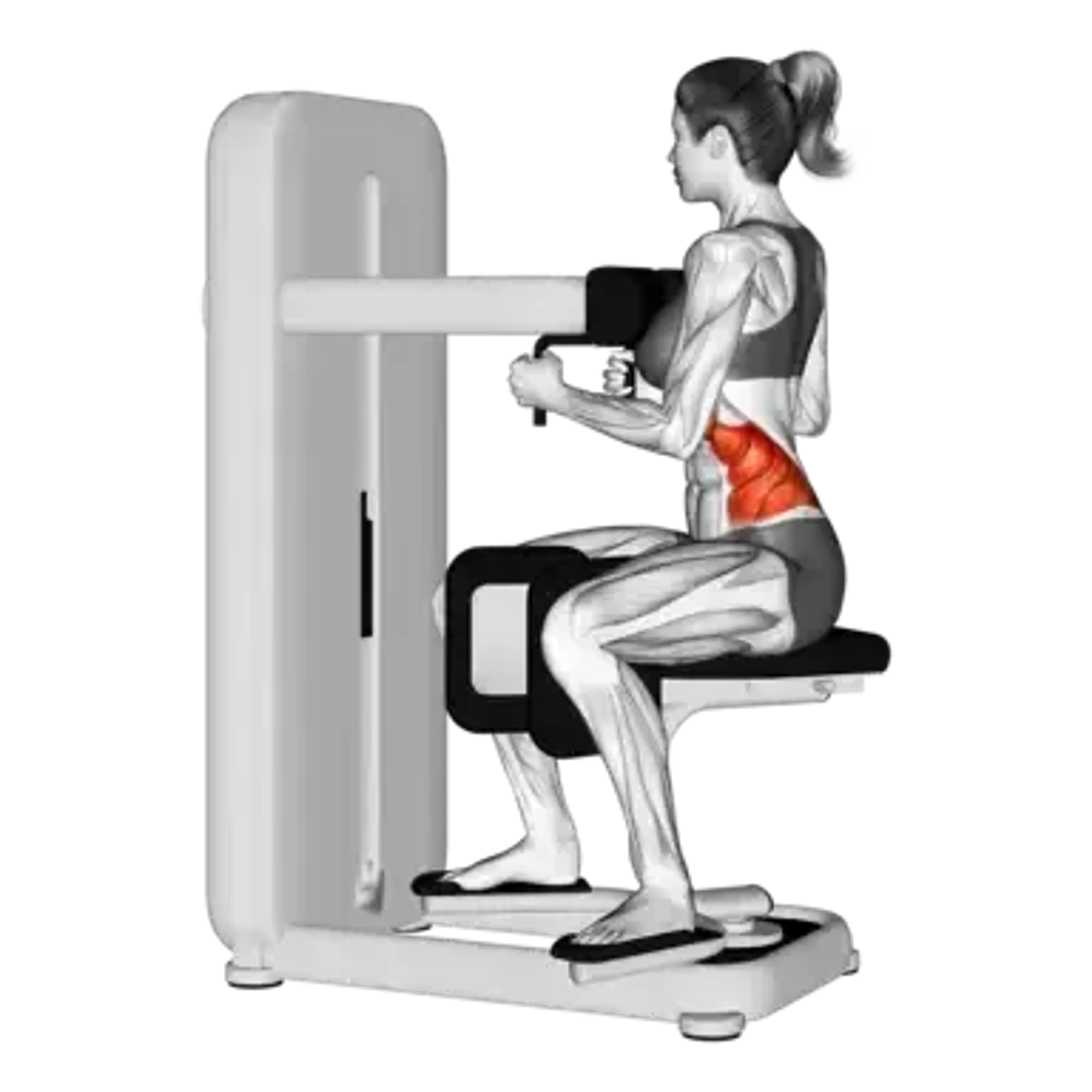 Machine Torso Rotation