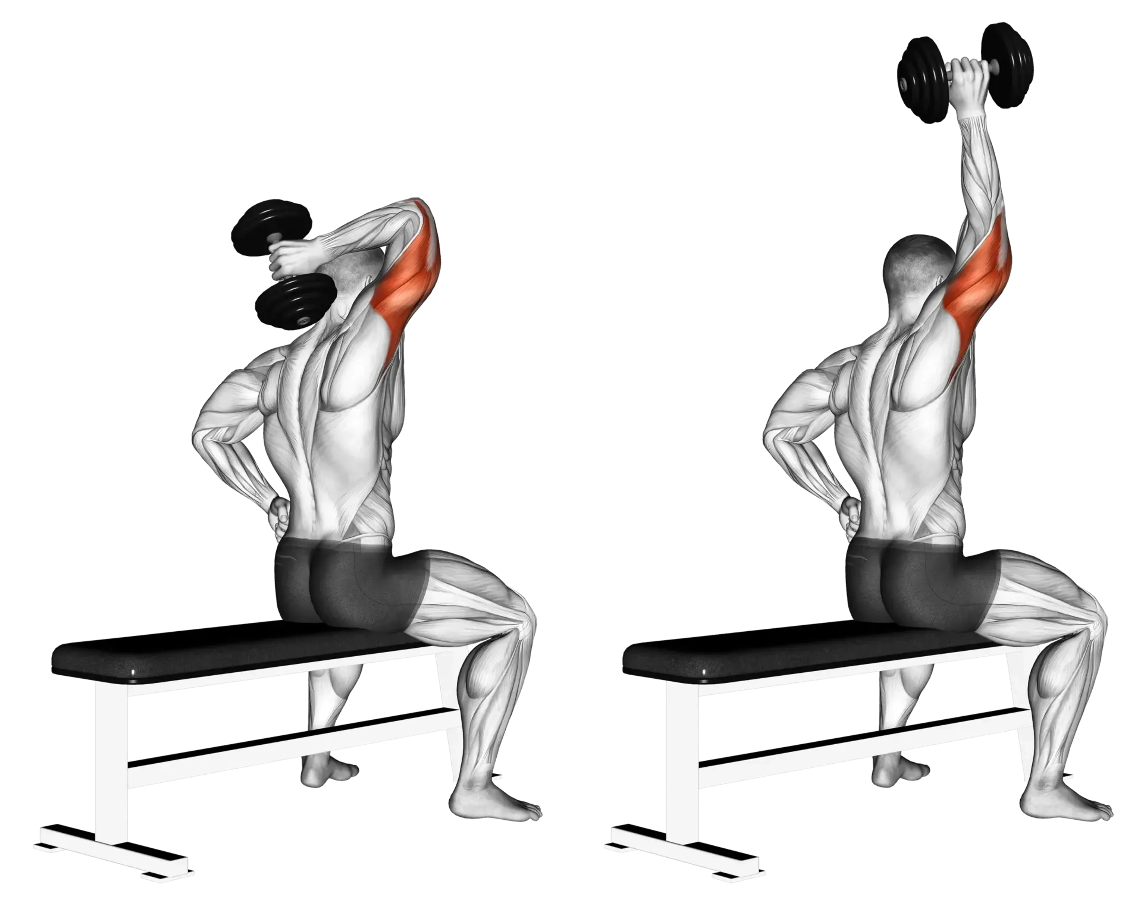 Dumbbell Seated Single-Arm Tricep Extension