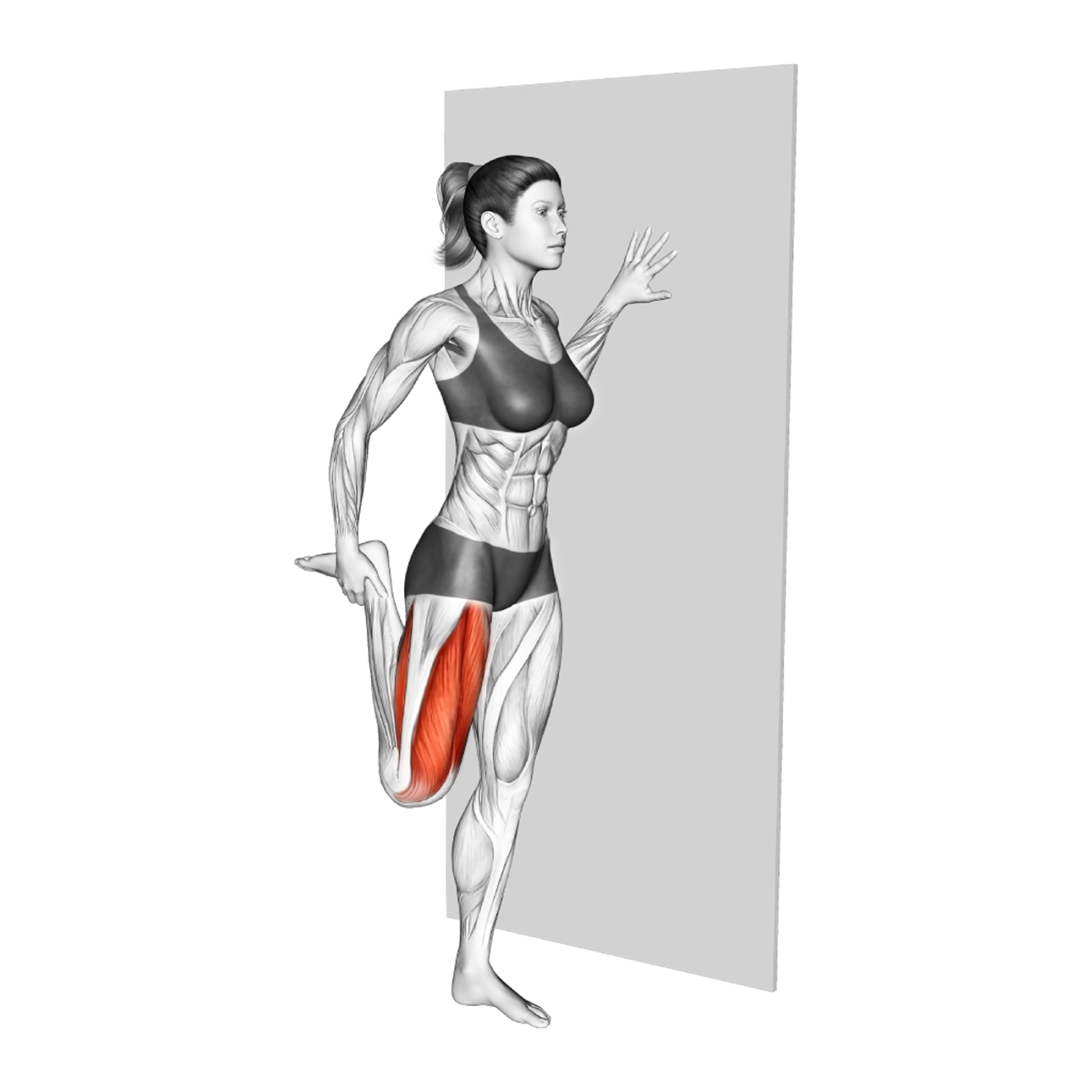Standing Quadriceps Stretch