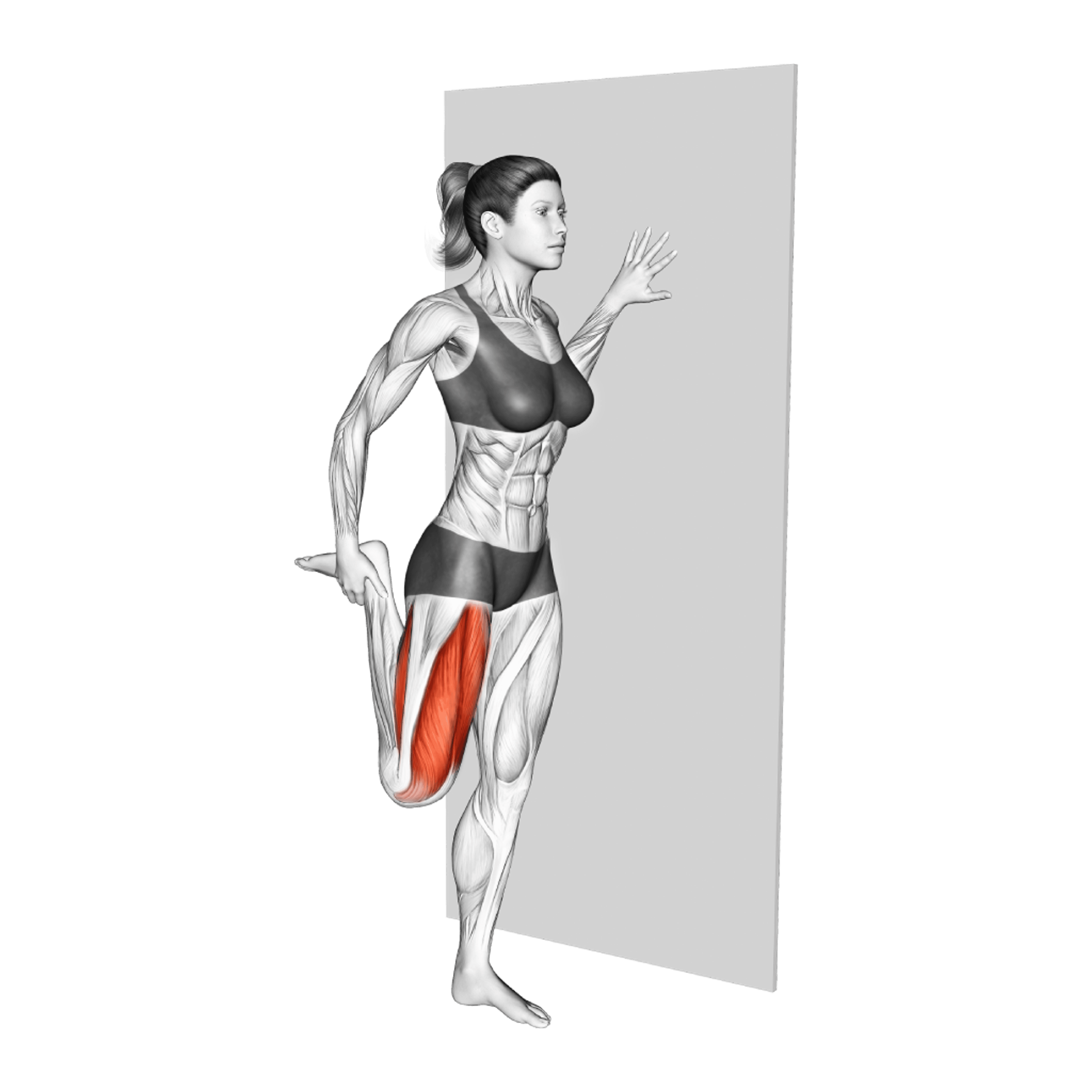Standing Quadriceps Stretch