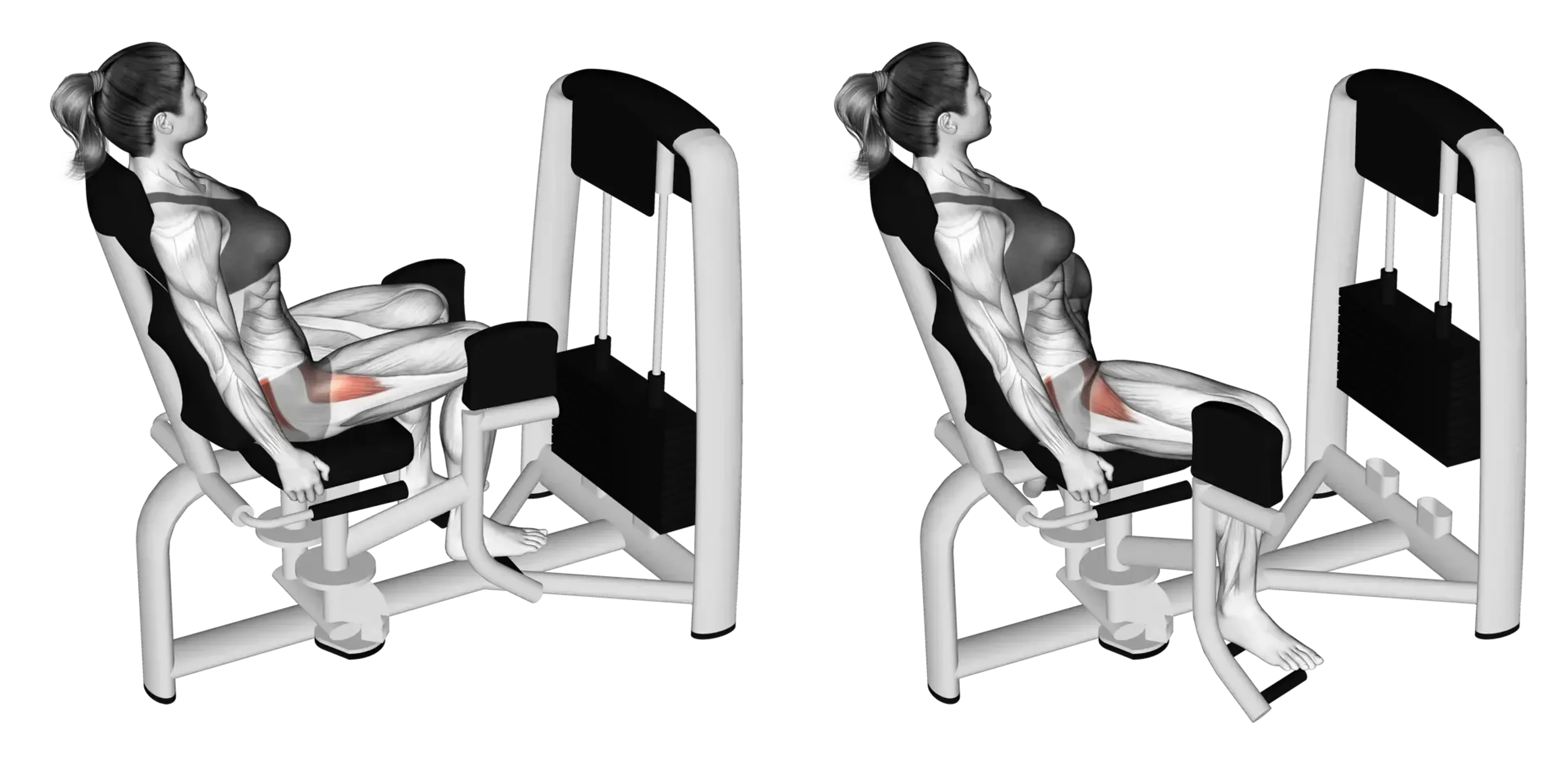 Machine Hip Abduction