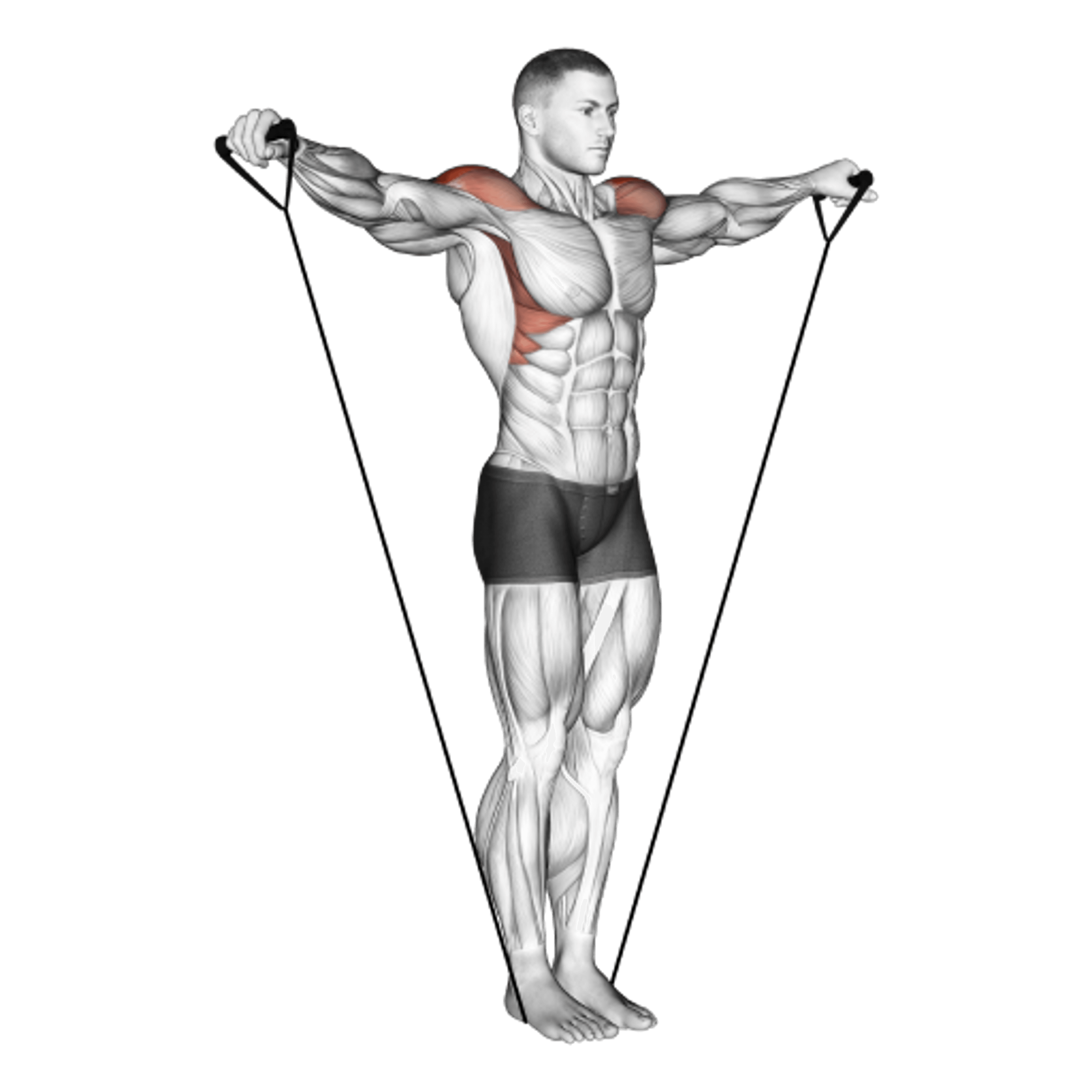 Band Lateral Raise