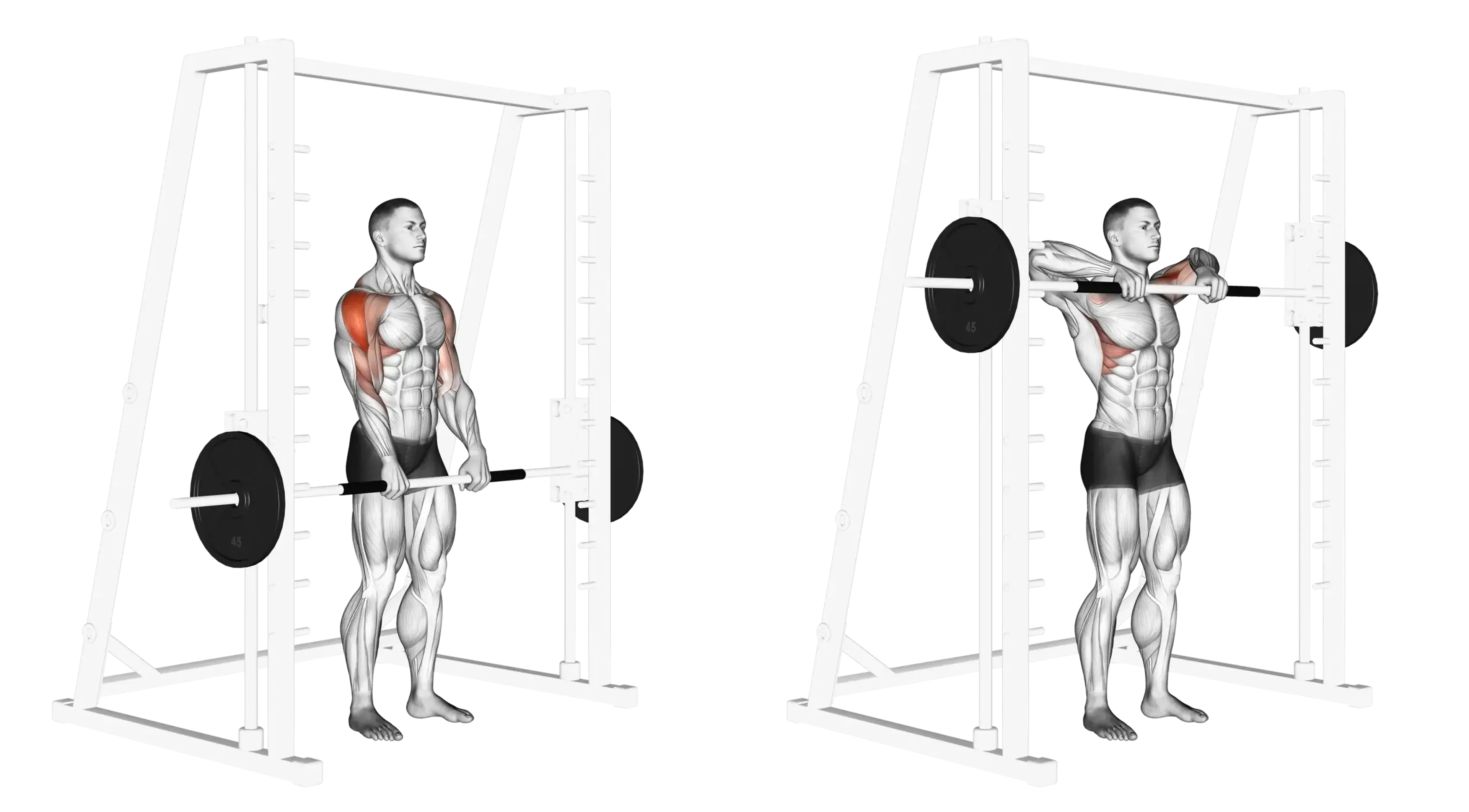 Smith Machine Upright Row